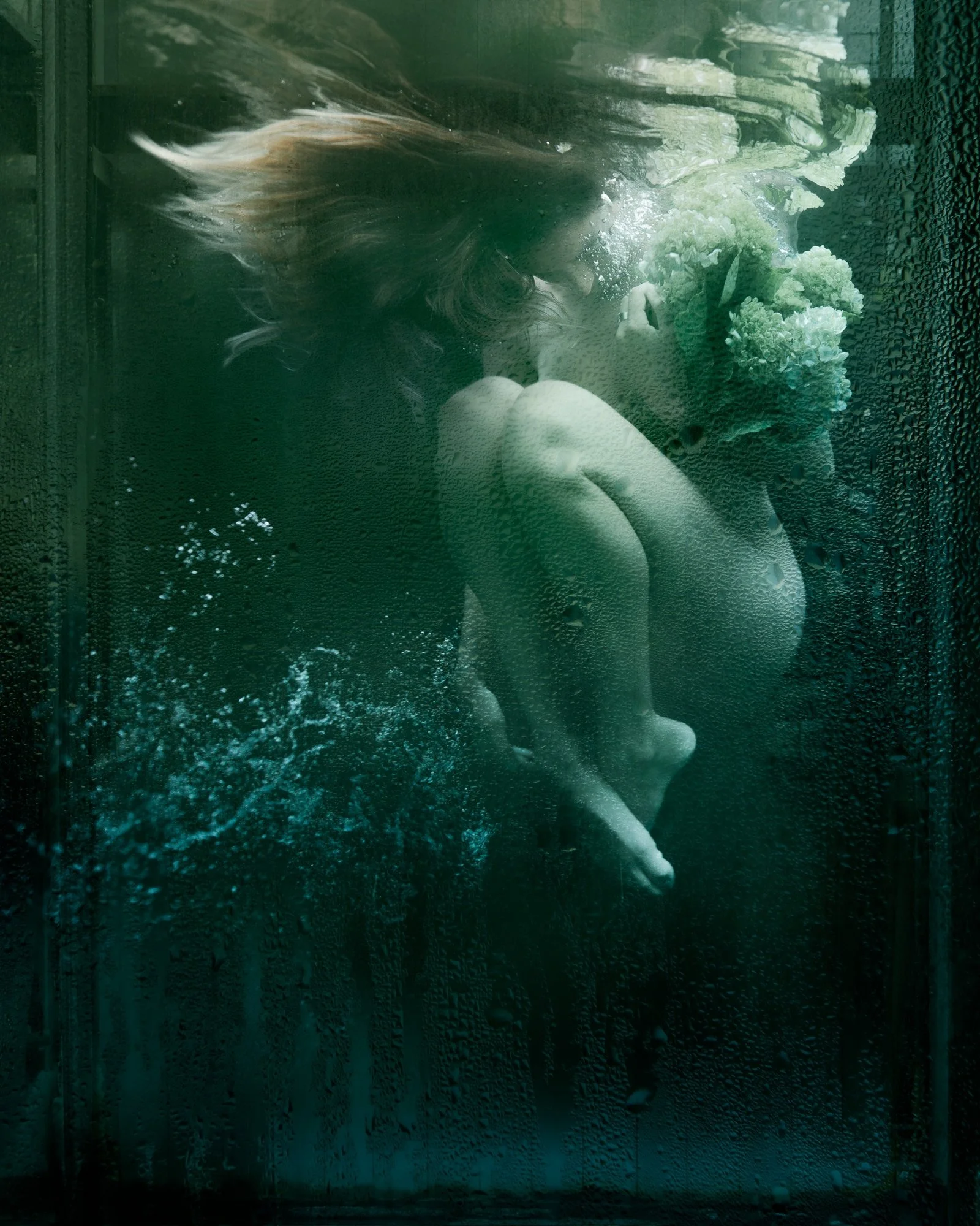 aquarium-©CharlotteBories-6-nano.jpg