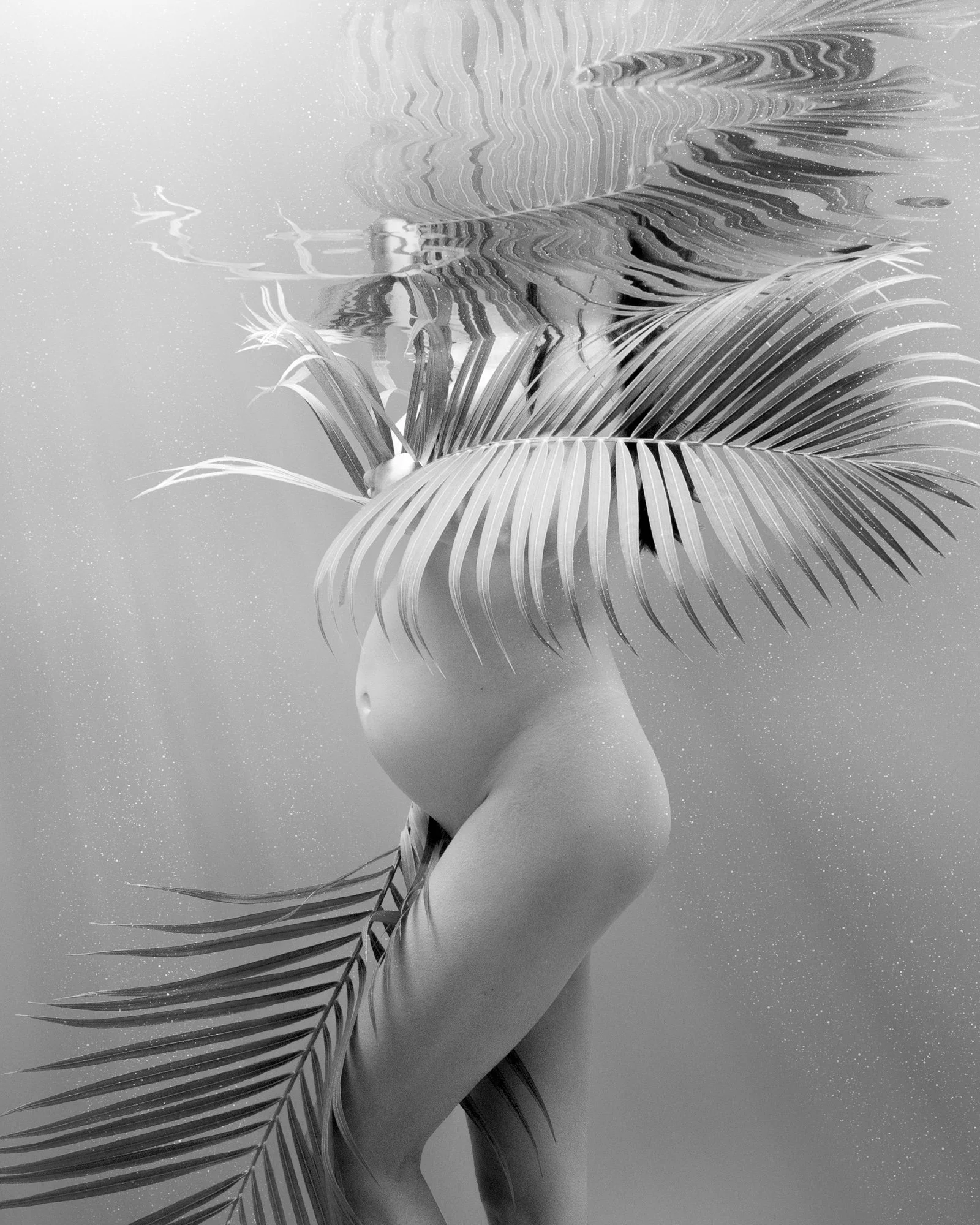 BW-©CharlotteBories-30-nano.jpg