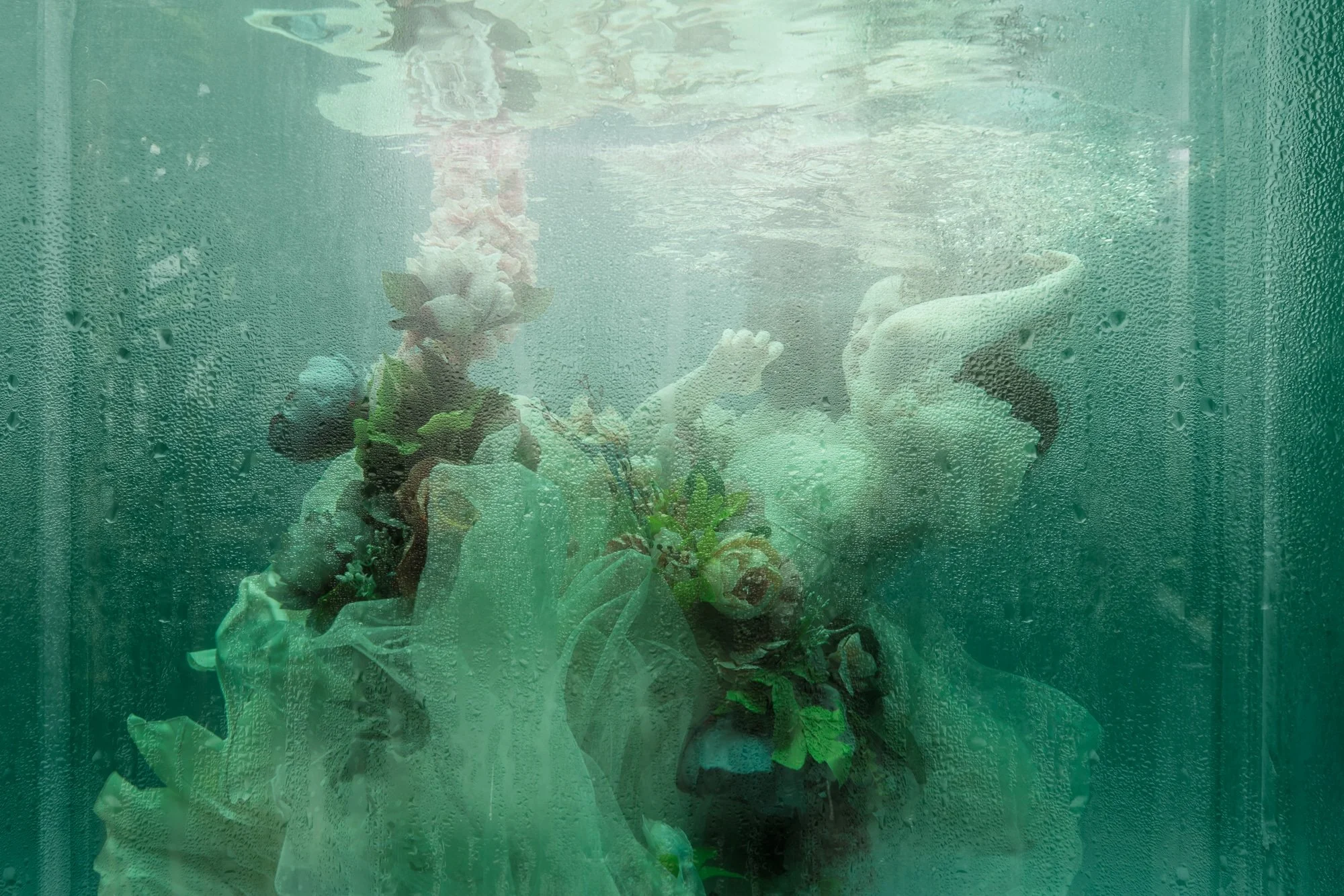 aquarium-©CharlotteBories-9-nano.jpg