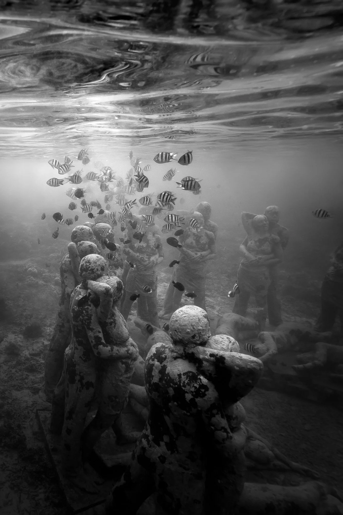 BW-©CharlotteBories-41-nano.jpg