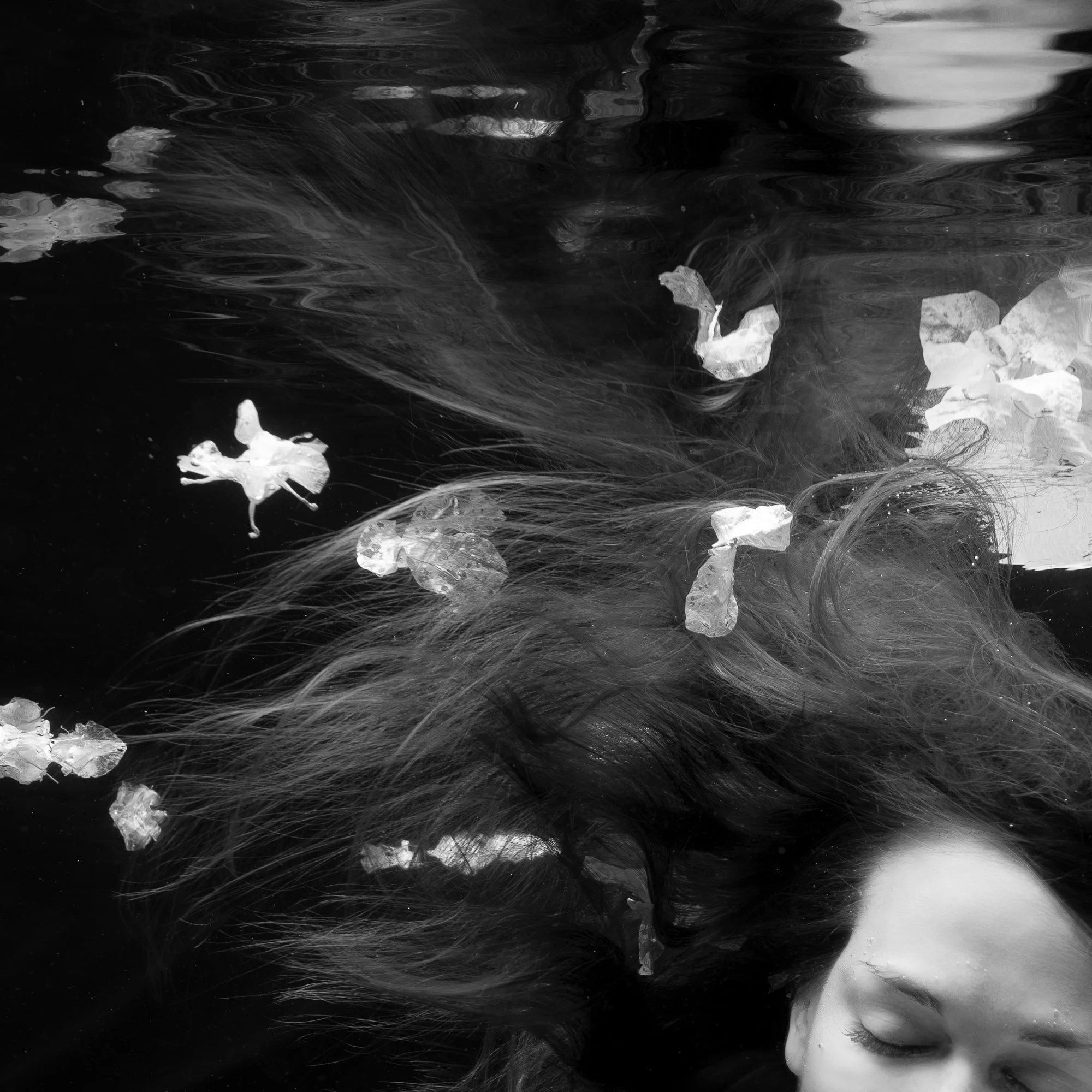 BW-©CharlotteBories-55-nano.jpg