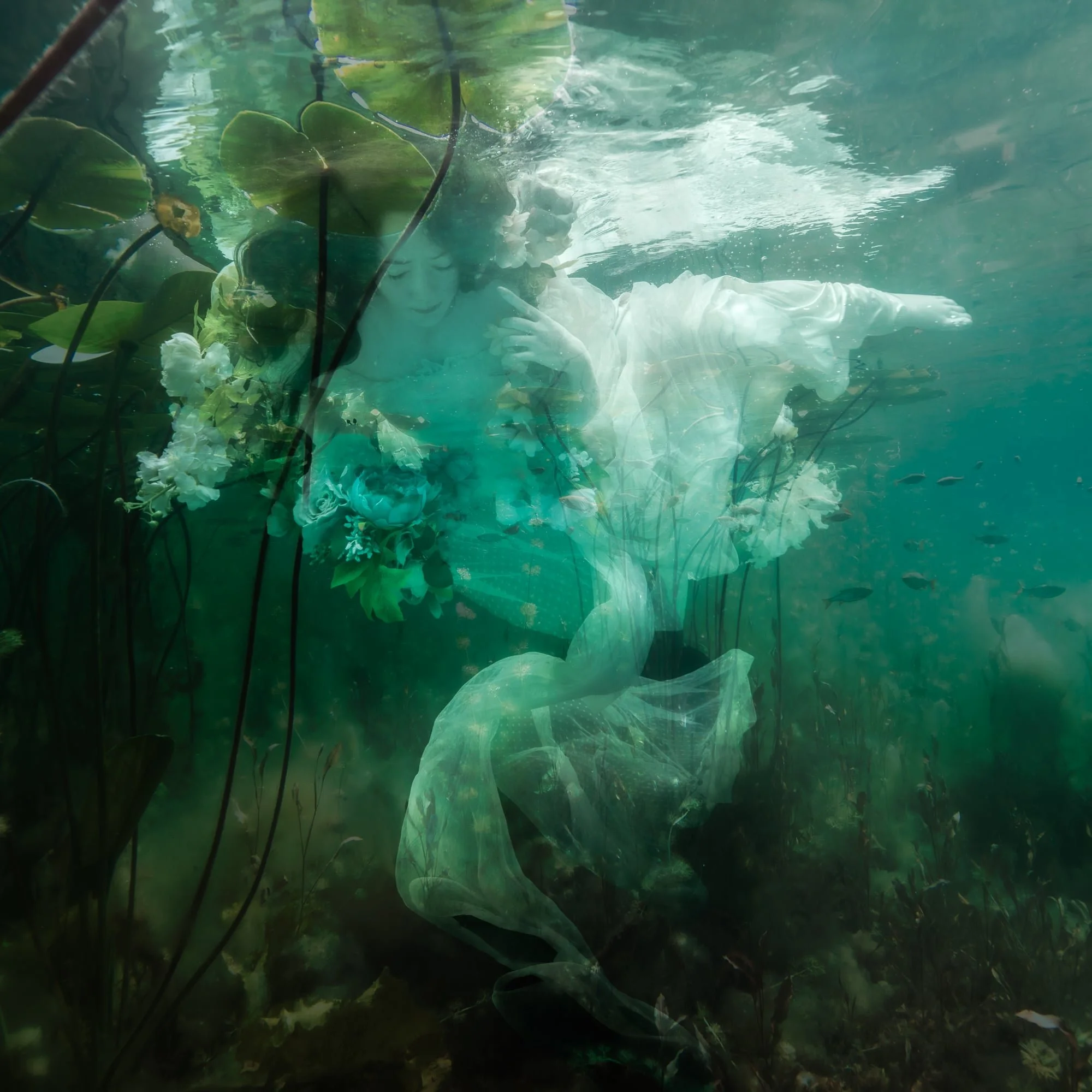 pond-©CharlotteBories-1-nano.jpg