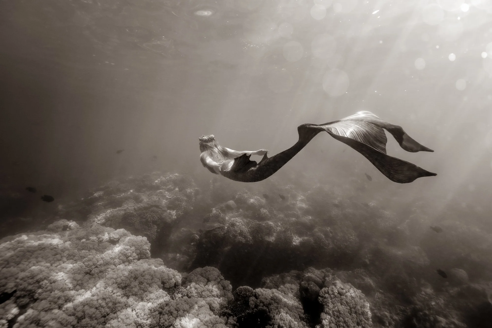 sepia-mermaid-©CharlotteBories-7-nano.jpg