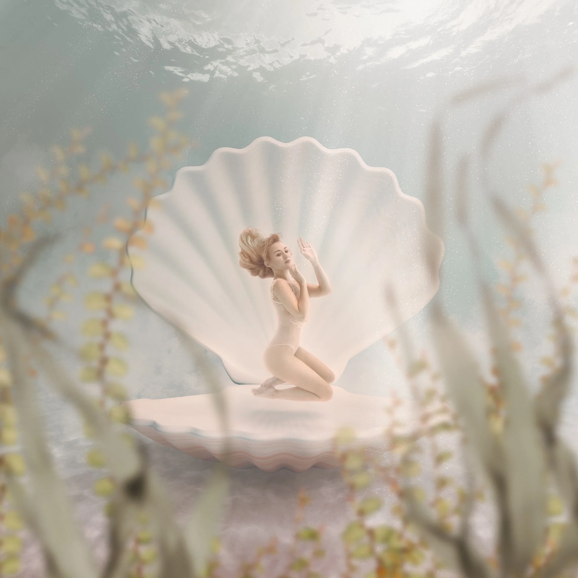 venus-©CharlotteBories-2-nano.jpg