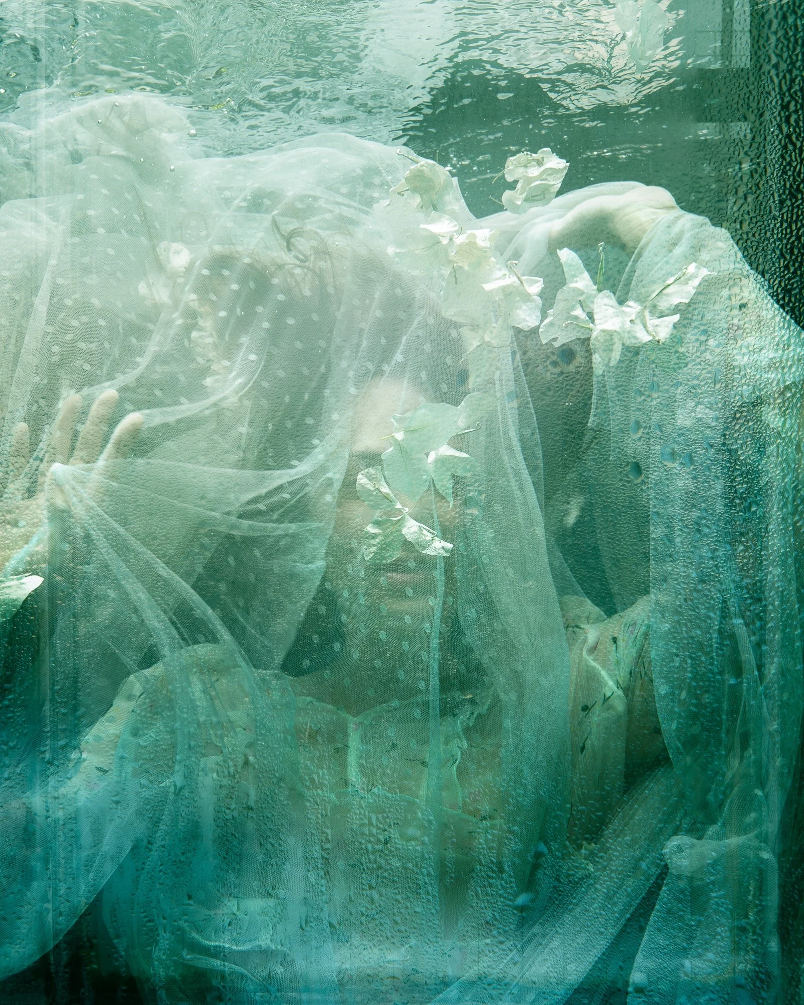 aquarium-©CharlotteBories-4-nano.jpg