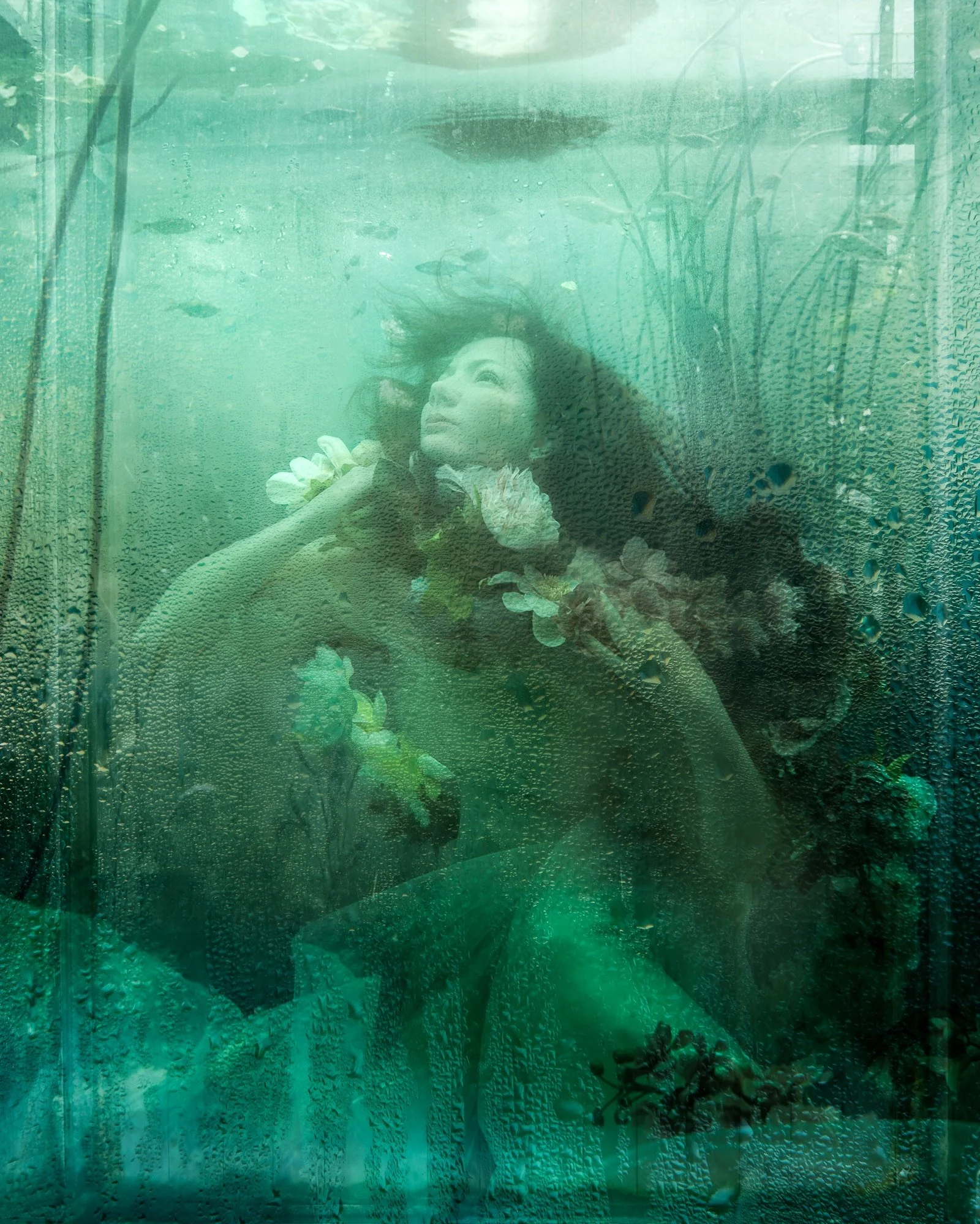 aquarium-©CharlotteBories-3-nano.jpg