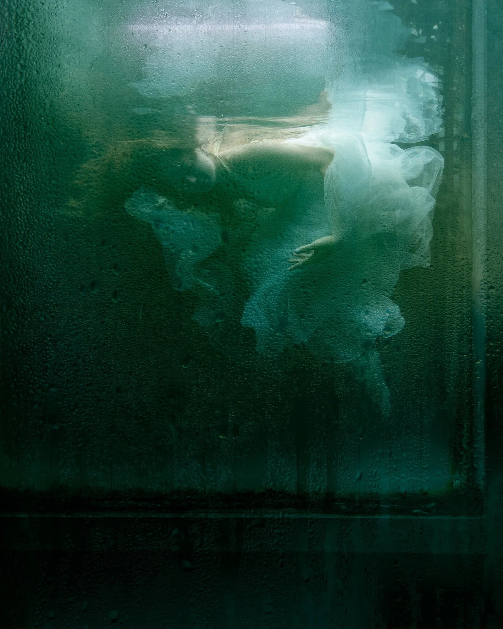 aquarium-©CharlotteBories-8-nano.jpg