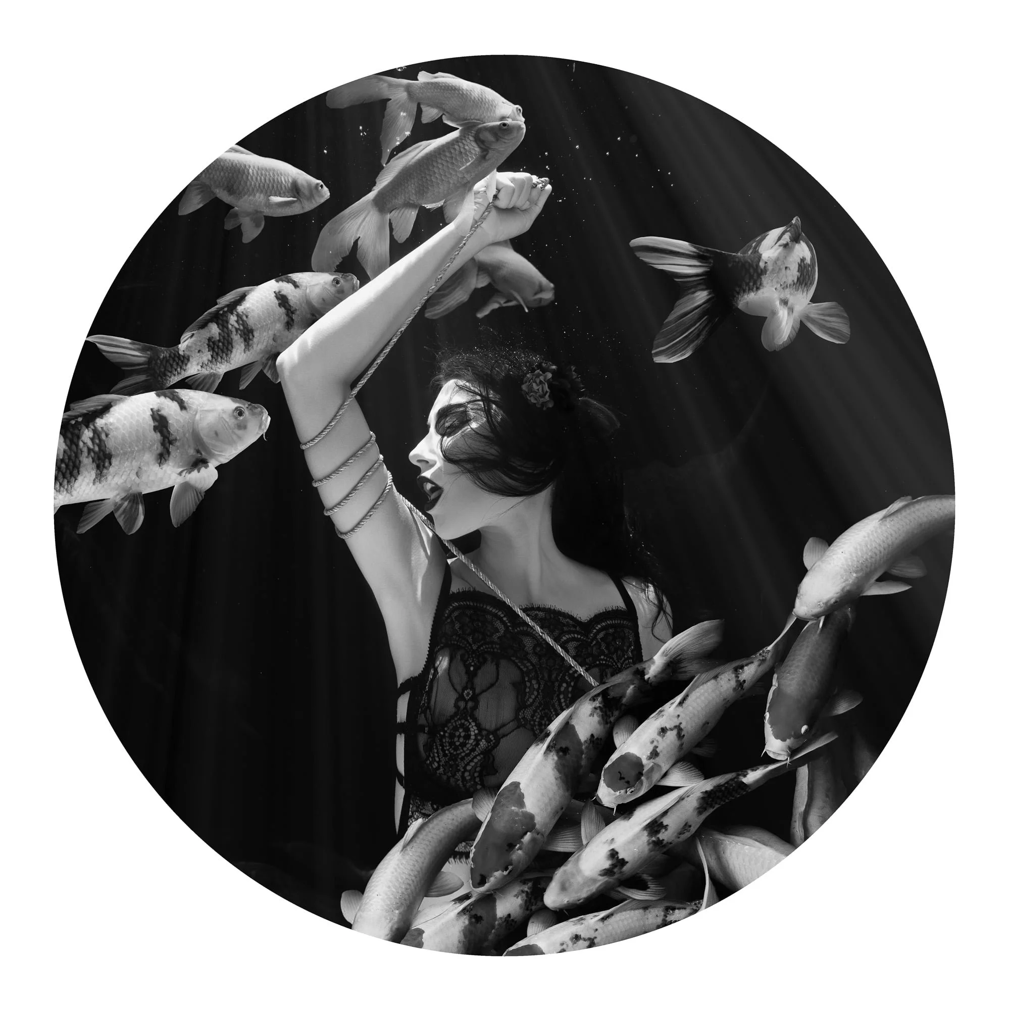 BW-©CharlotteBories-9-nano.jpg