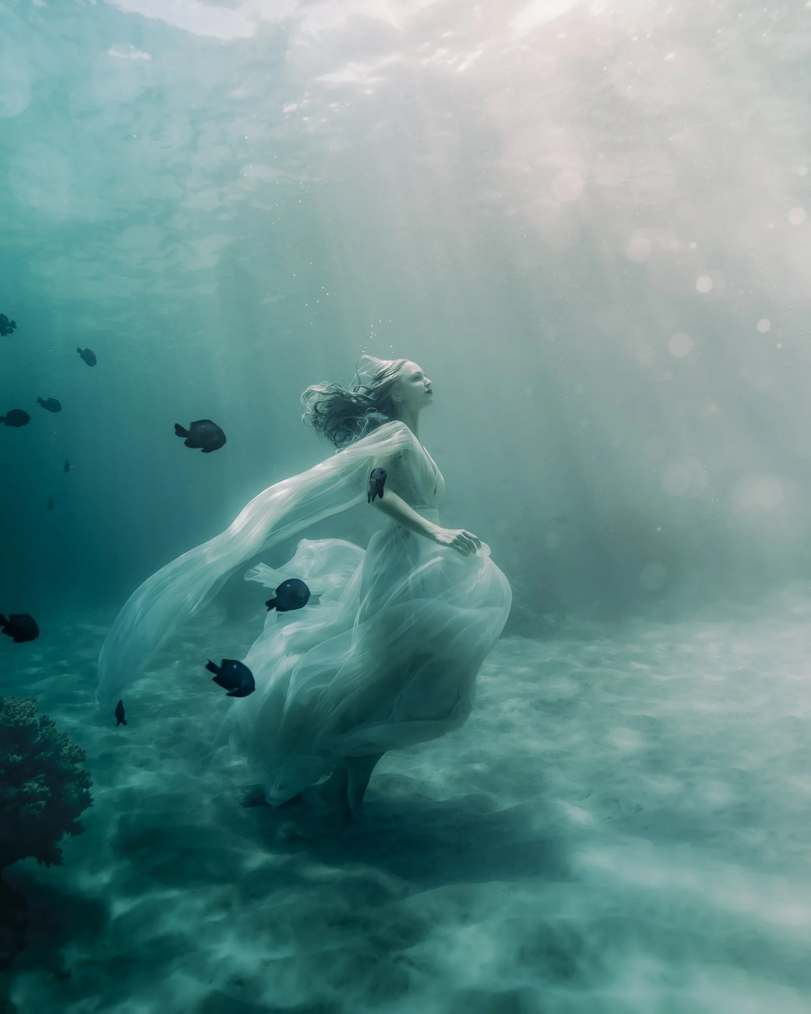 Tide-Walker-©CharlotteBories-1.jpg