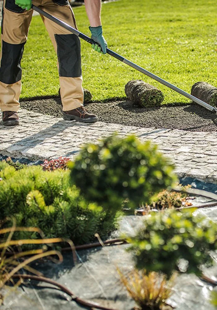 Soft Landscaping