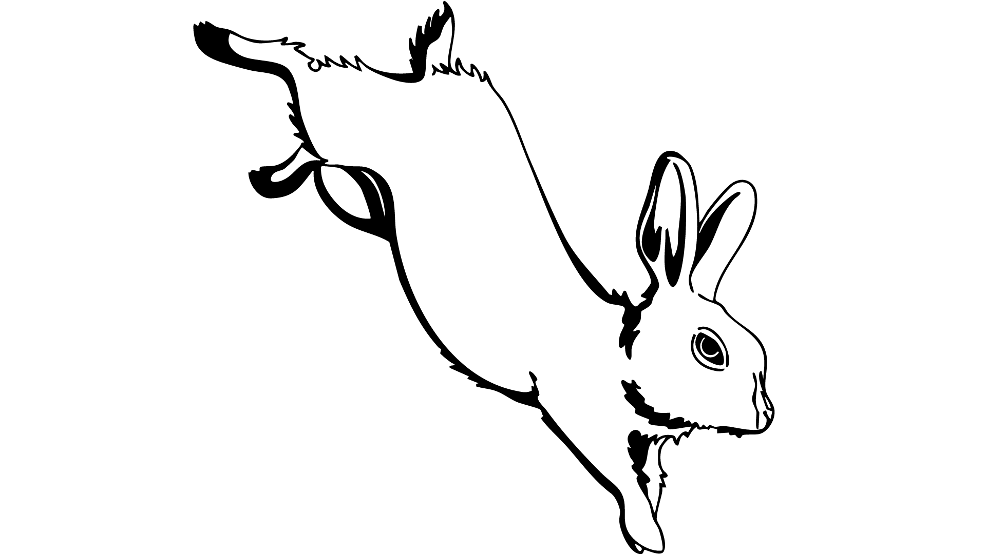 bunny.png