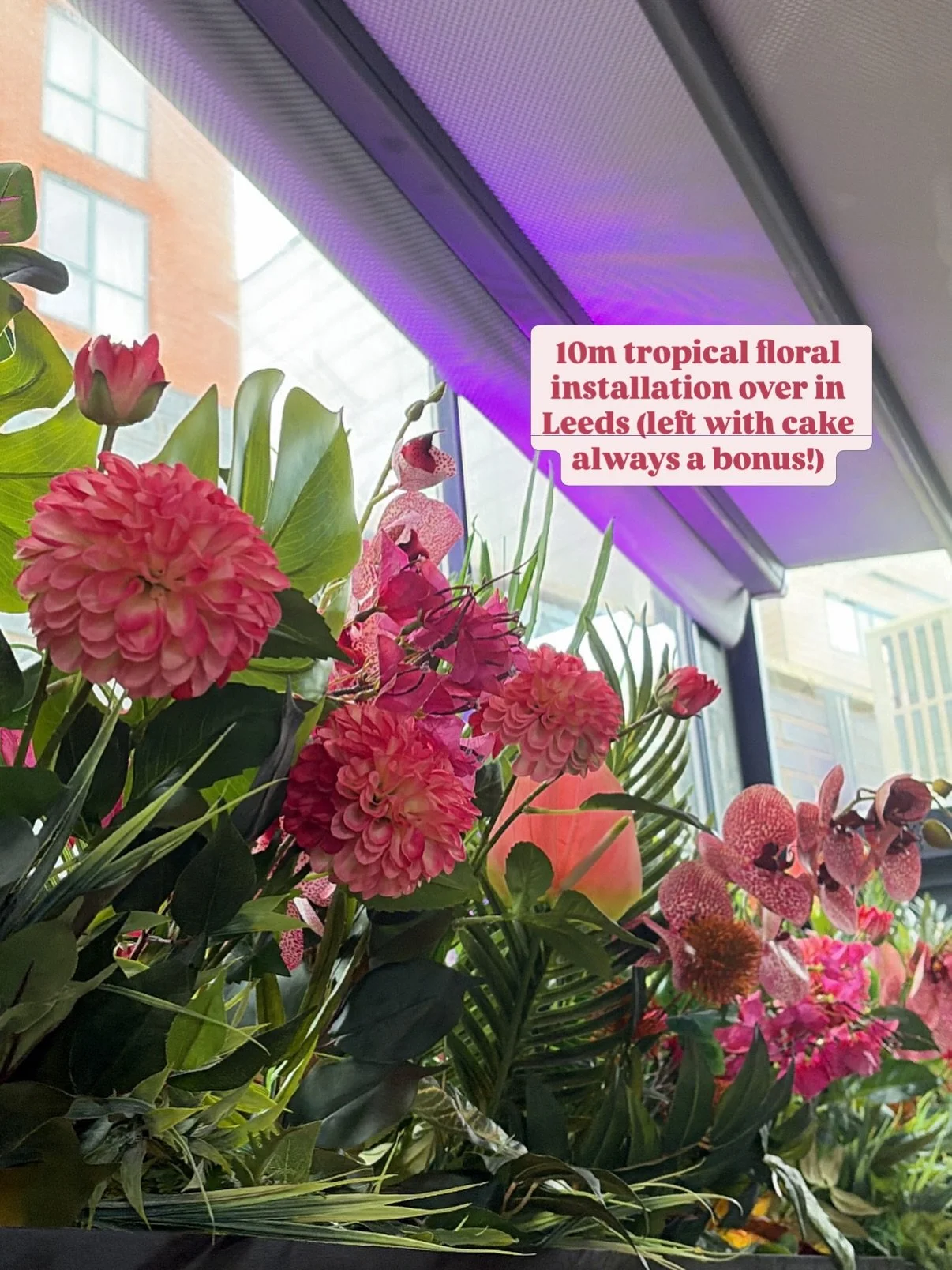 March camera roll 🐣🌸🤍🎬

#florist