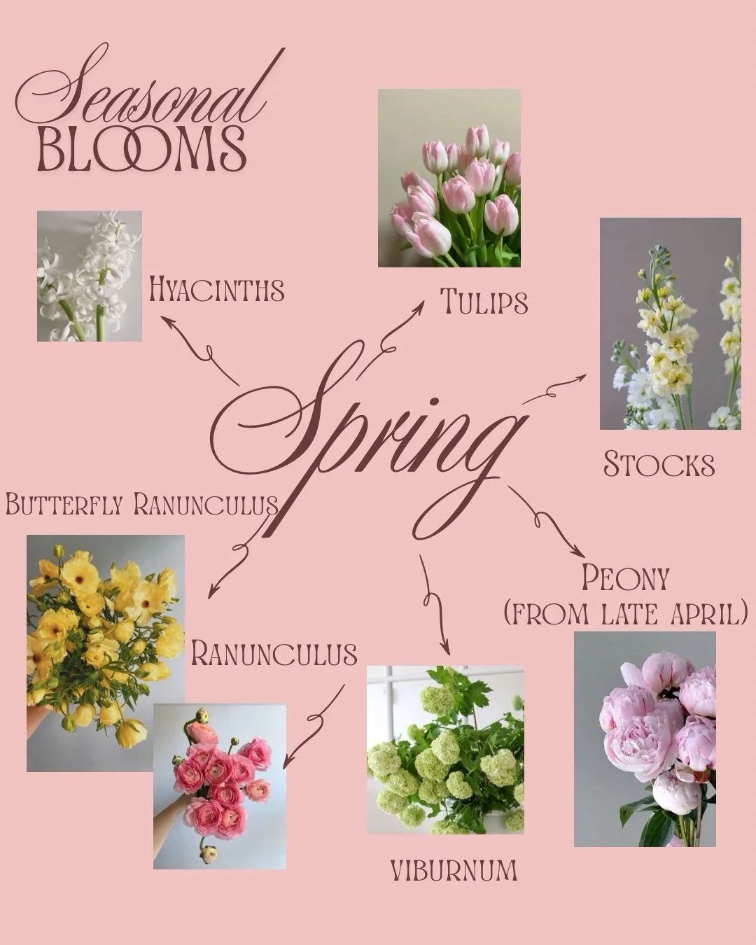 What flowers are in season on my wedding date? 

Luckily there are many  flowers which we can get our hands on year round such as Roses. 

But why not lean into your wedding season and get some seasonal stunners in there too! 

#florist #ukweddingflo