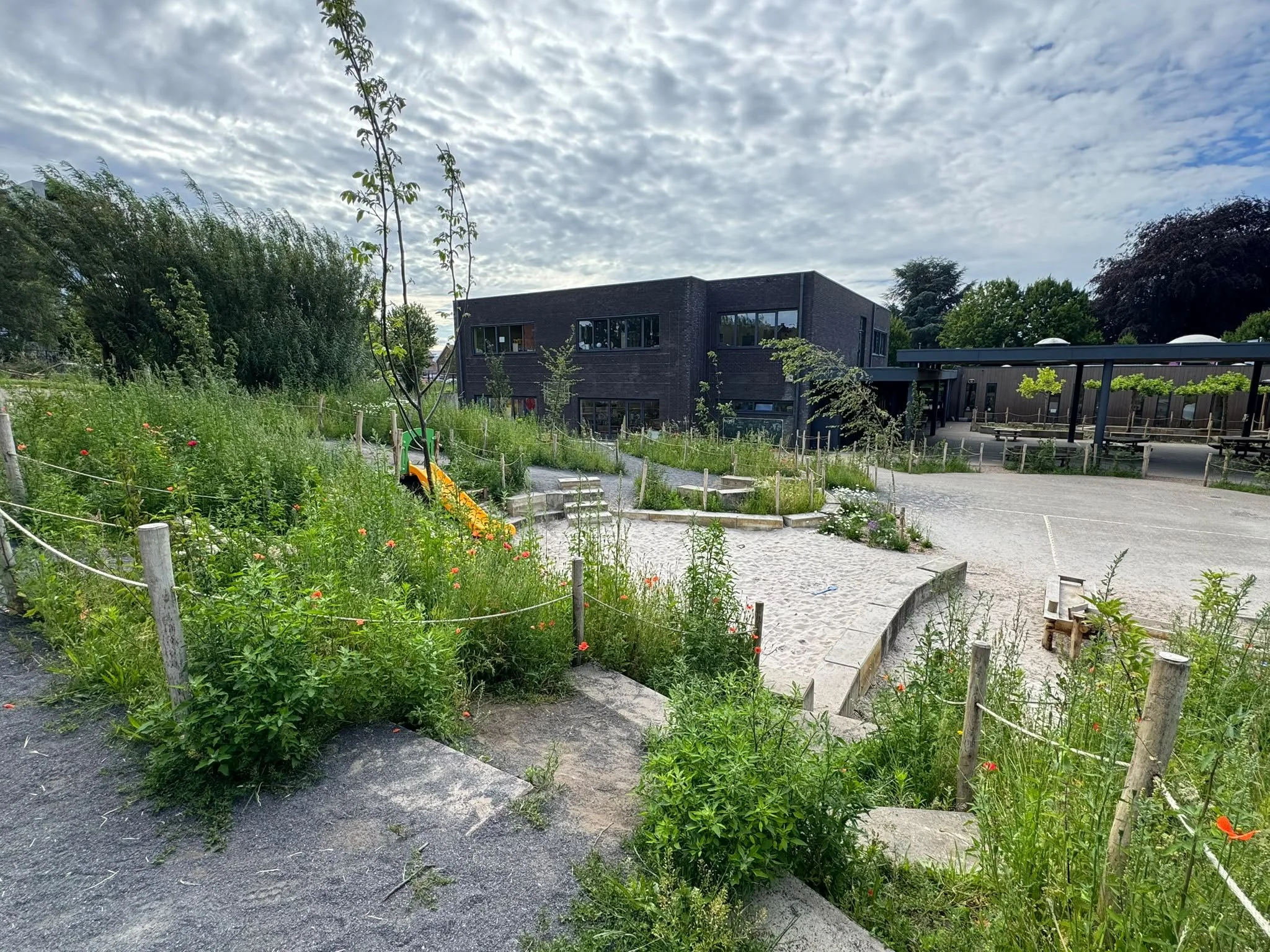 go-freinetschool-de-step-beringen