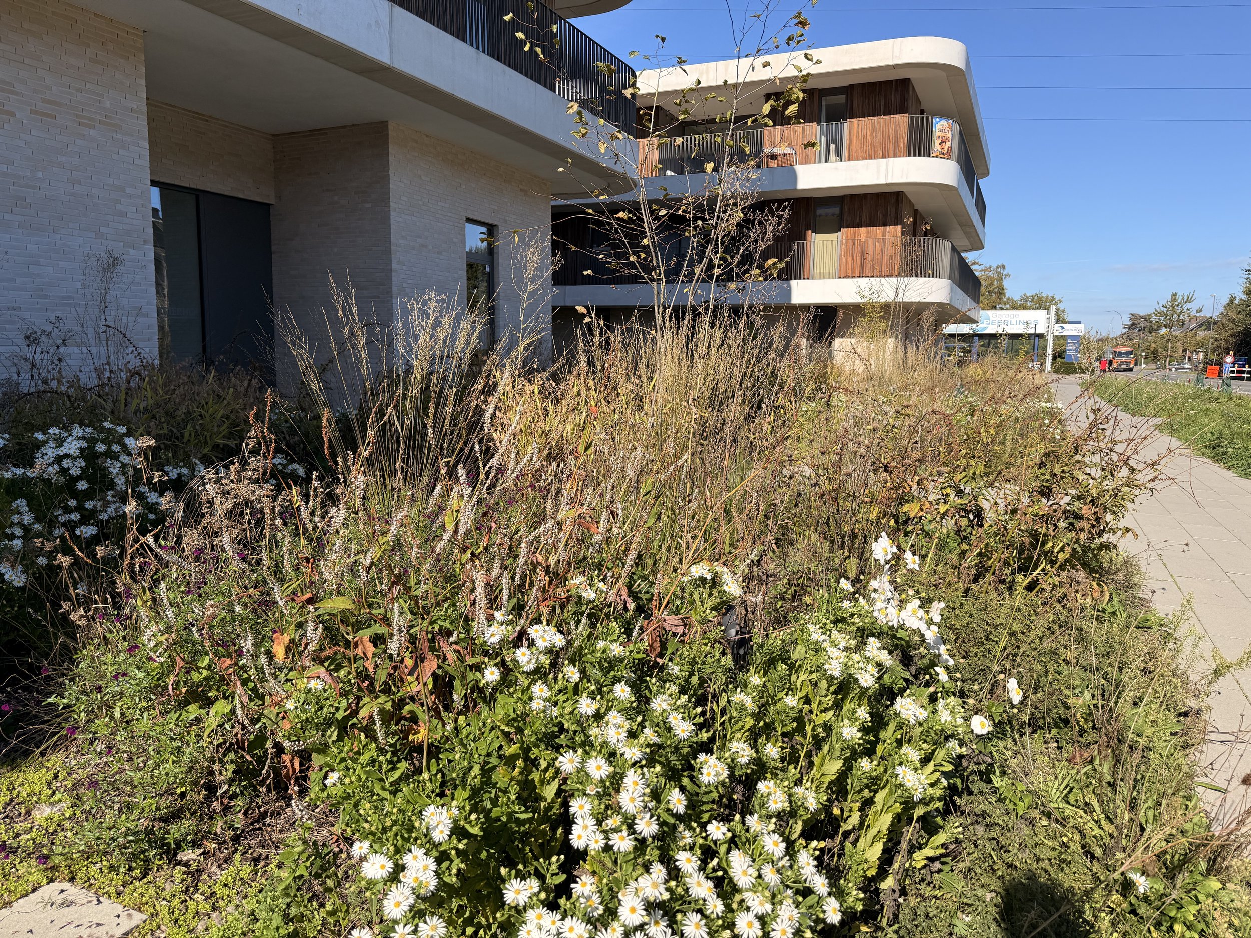 Weelderige beplanting woningontwikkeling Herfstbeeld border naturalistische beplanting