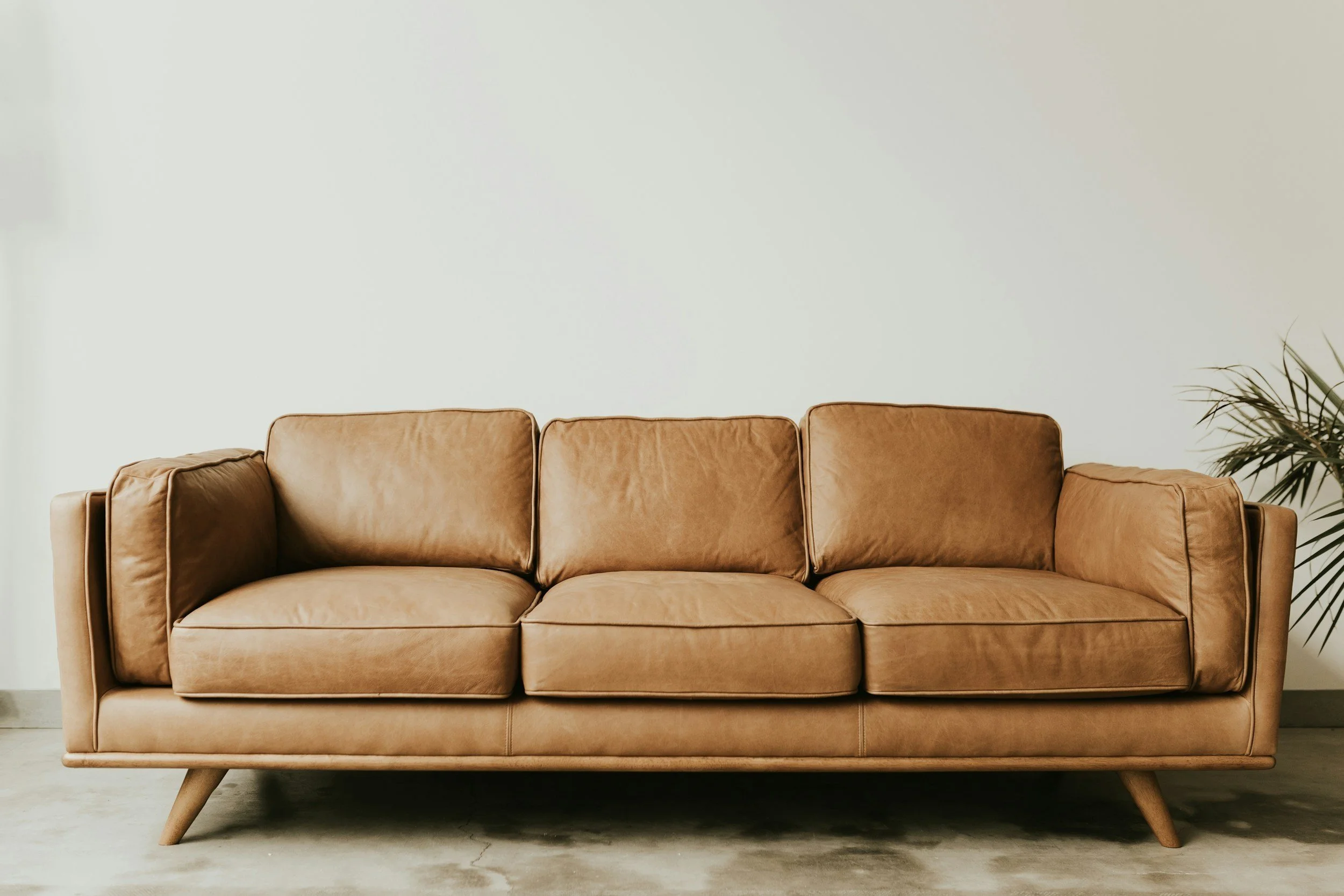 A tan leather sofa with a modern design in a minimalist room, with a green plant on the right side.