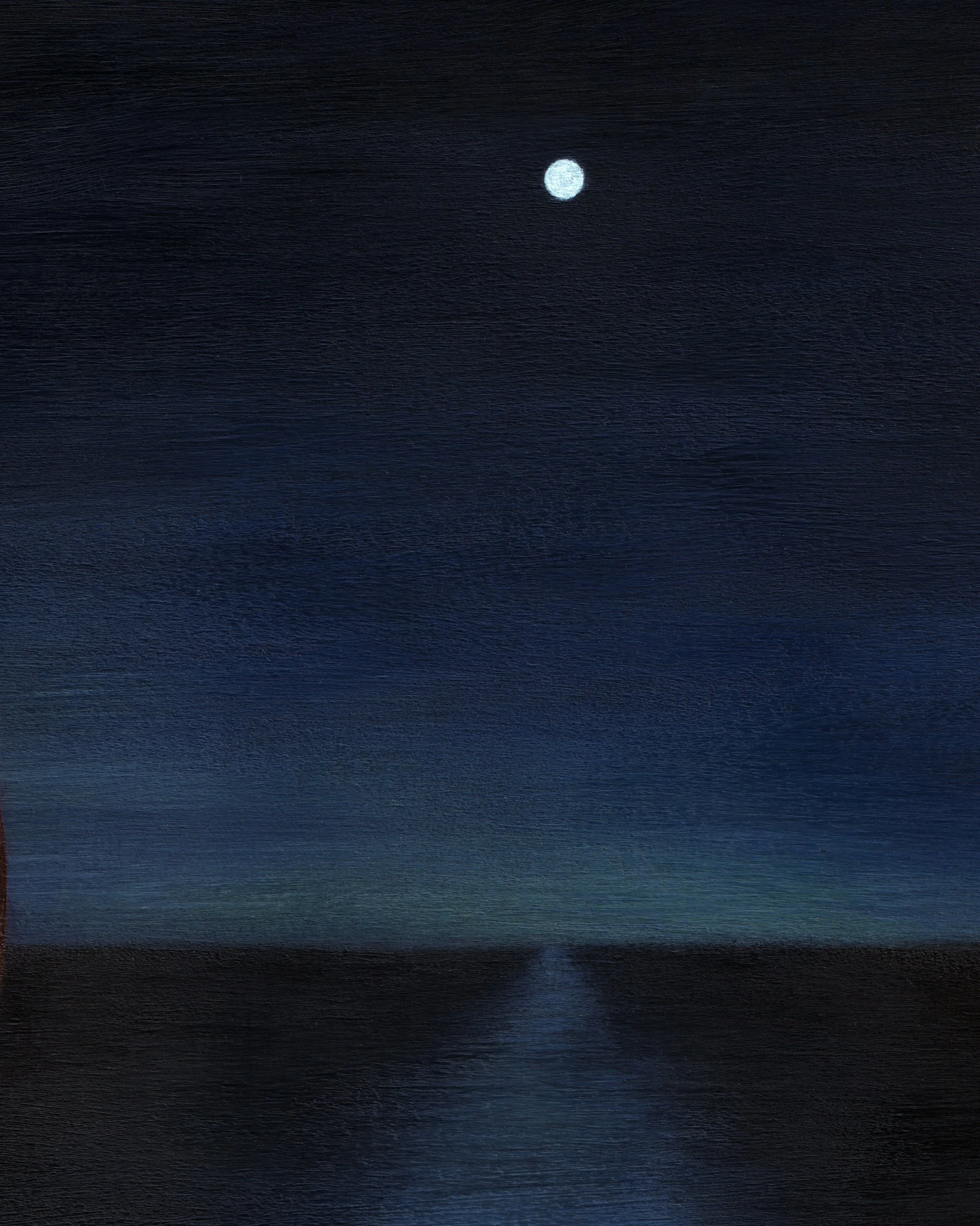 Please Ignore The Reptile 3.jpg