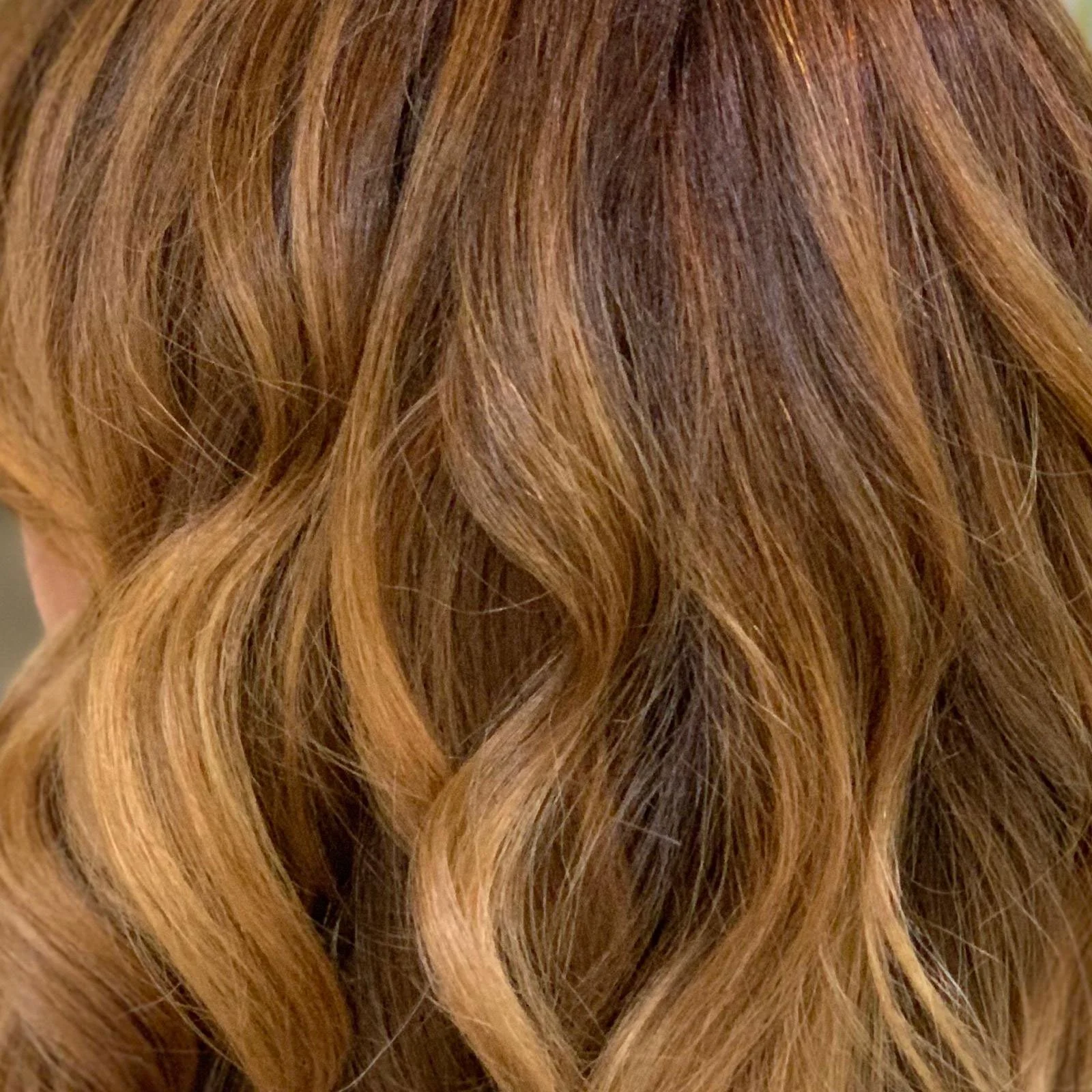 Highlights