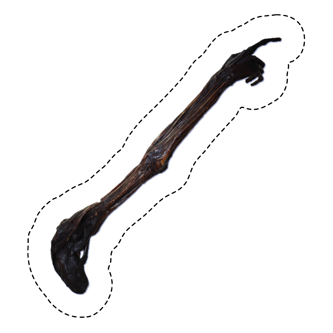 dan donnelly arm.png