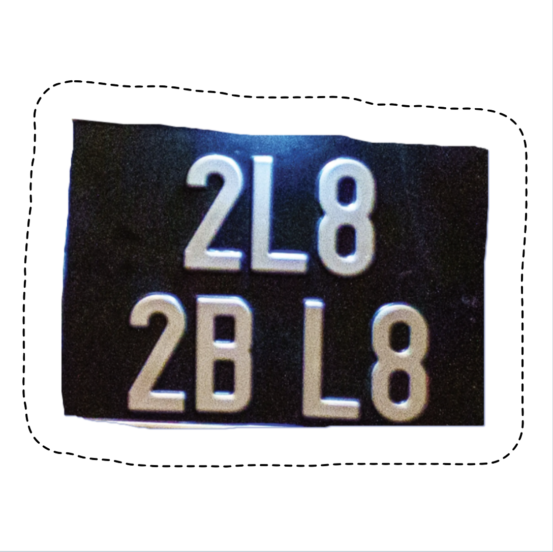 reg plate.png
