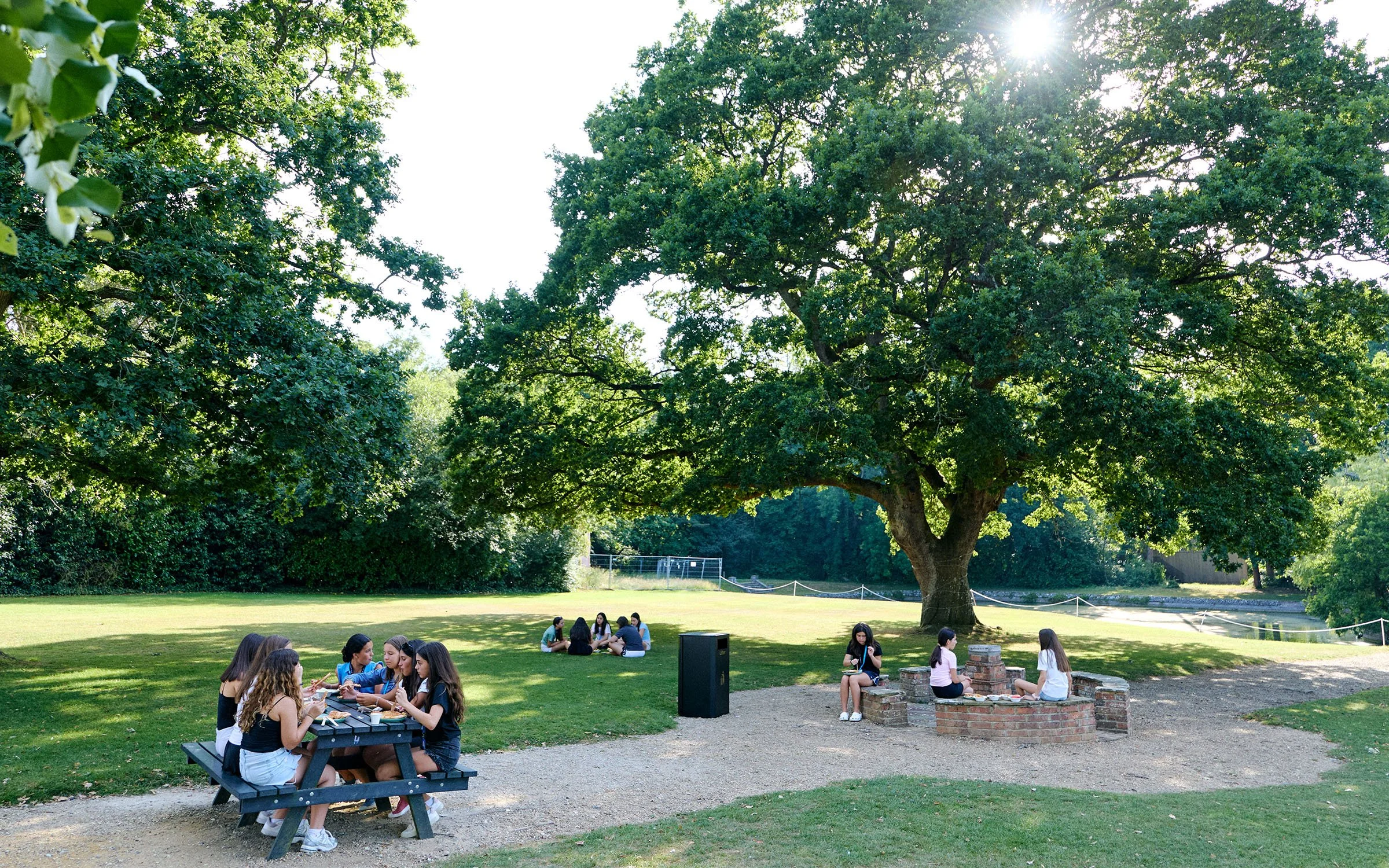 Varios grupos de estudiantes conversando en mesas de picnic y bancos bajo los árboles de los jardines de Dicker.