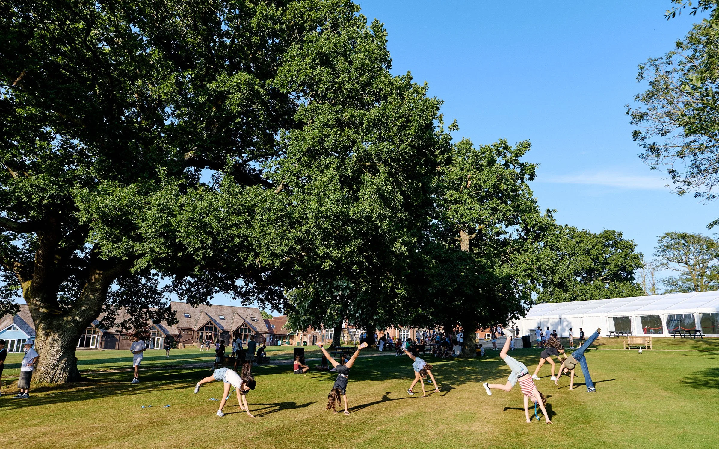 campamento-verano-dicker-059.jpg
