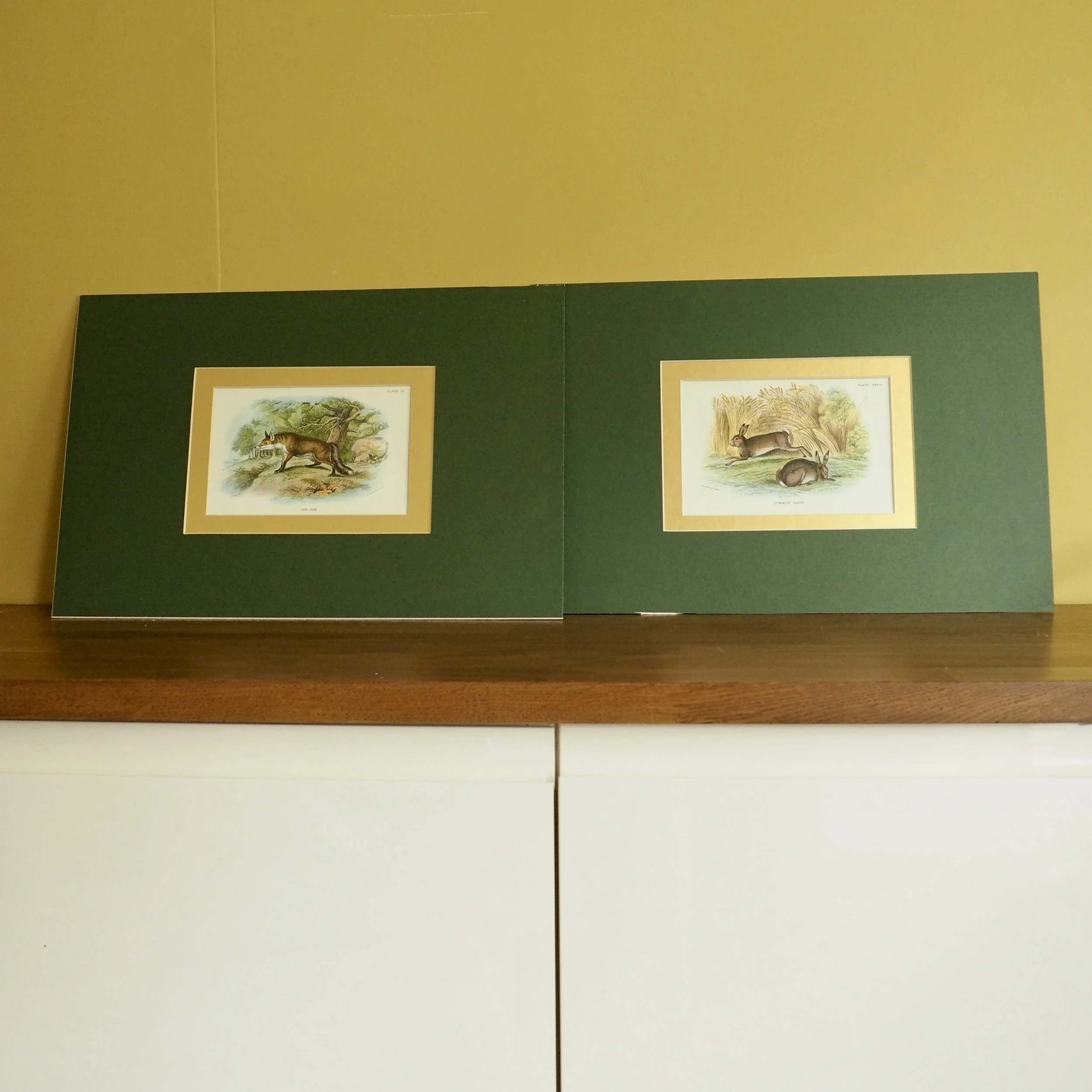 Two mounted vintage bookplates