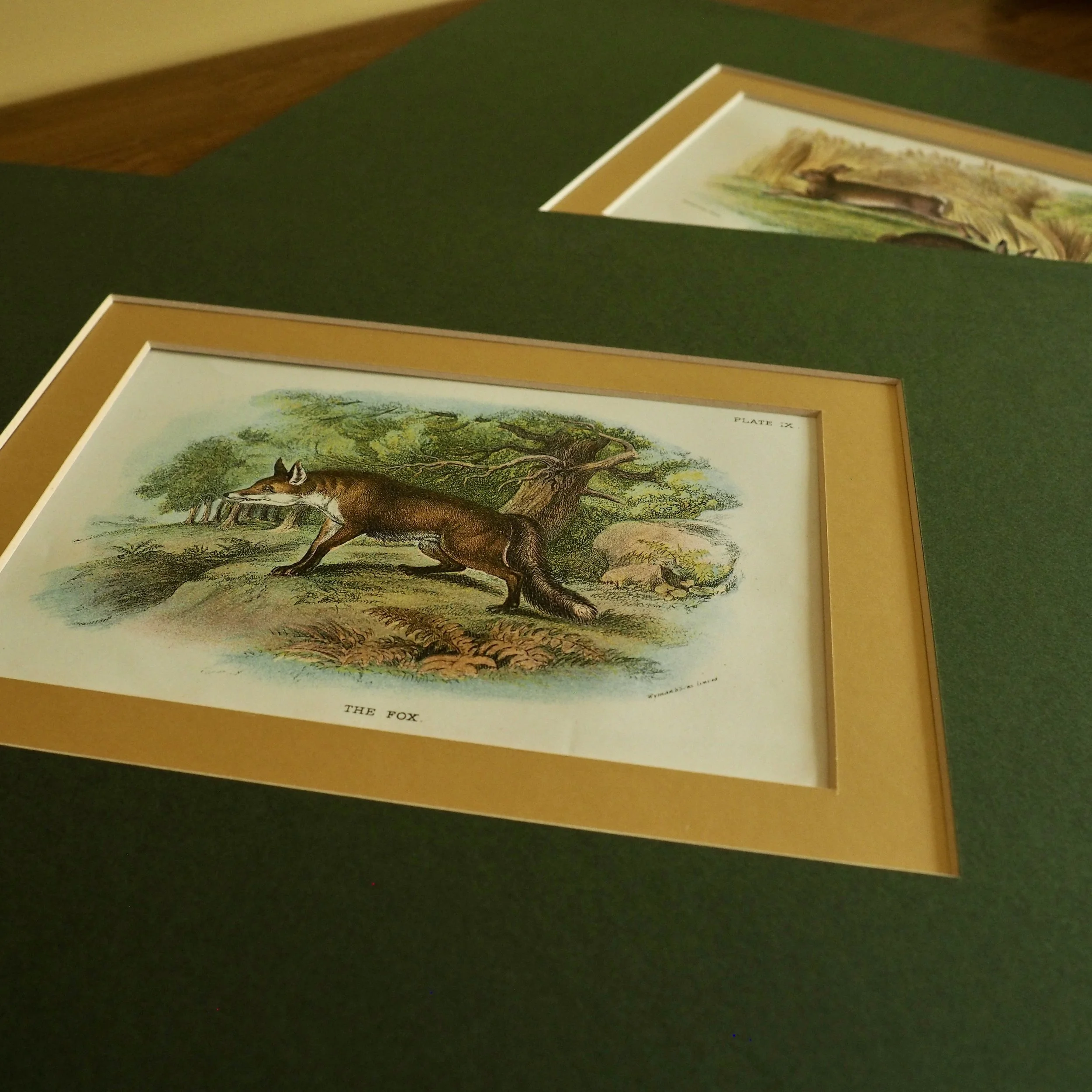 Two mounted vintage bookplates close up