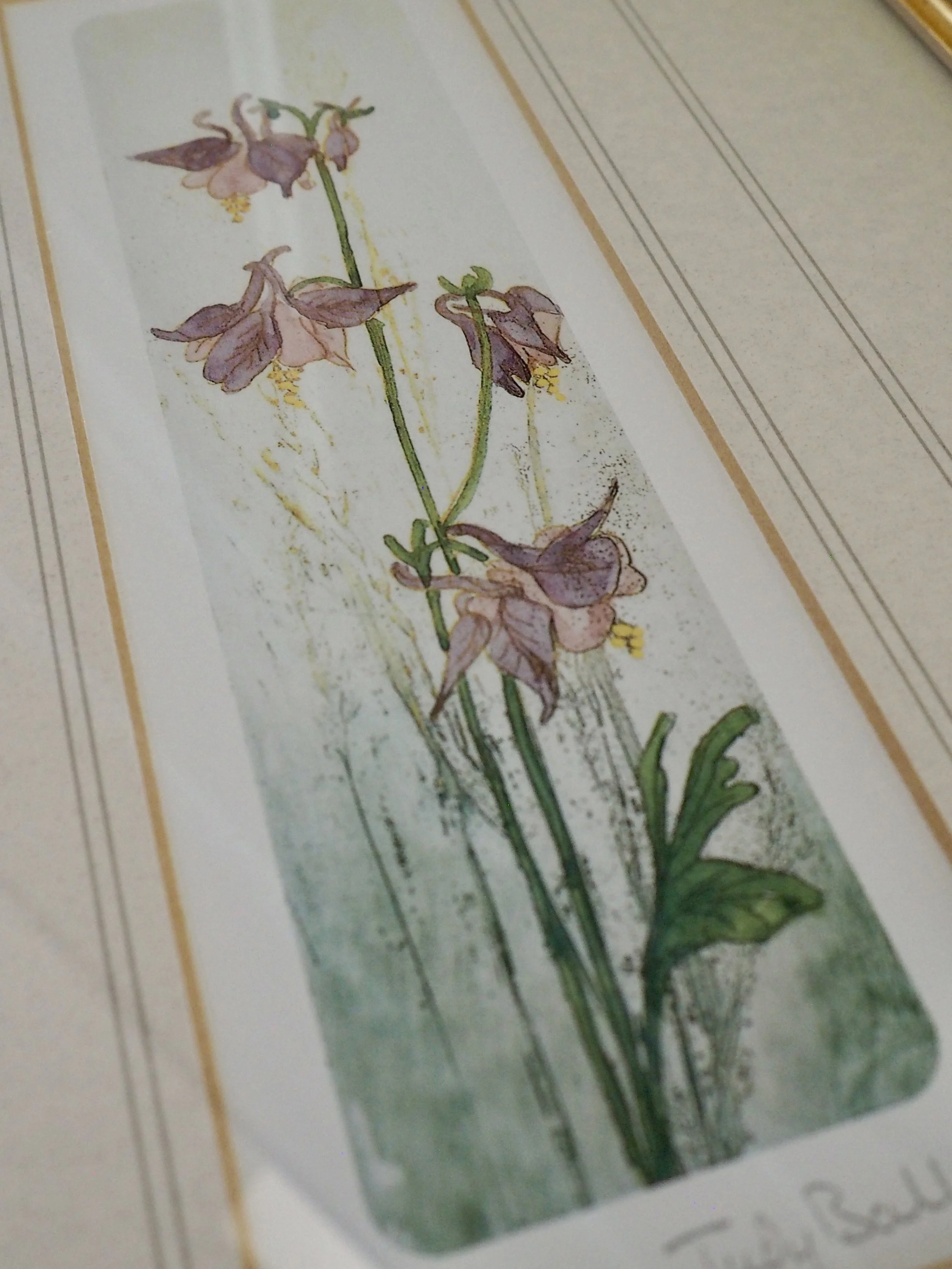 framed watercolour print by Judy Ball