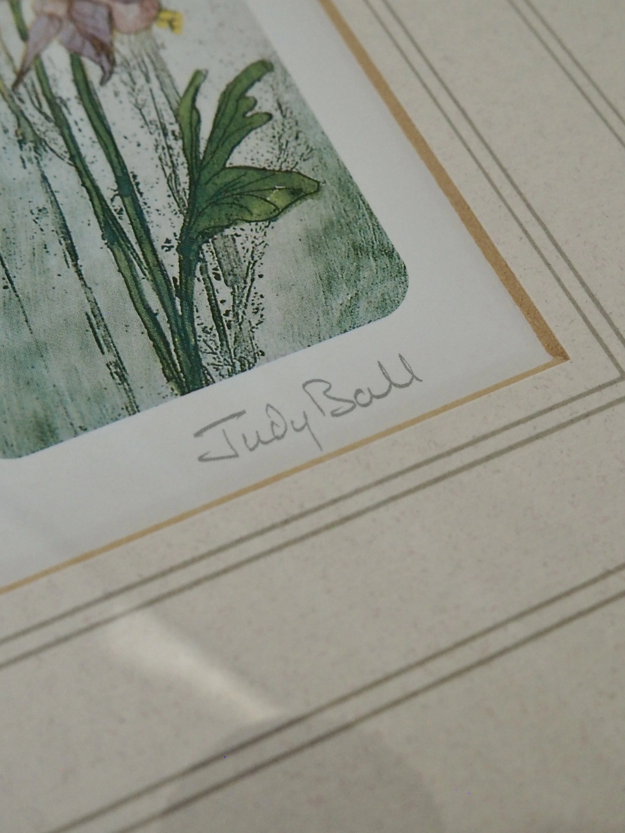 framed watercolour print by Judy Ball