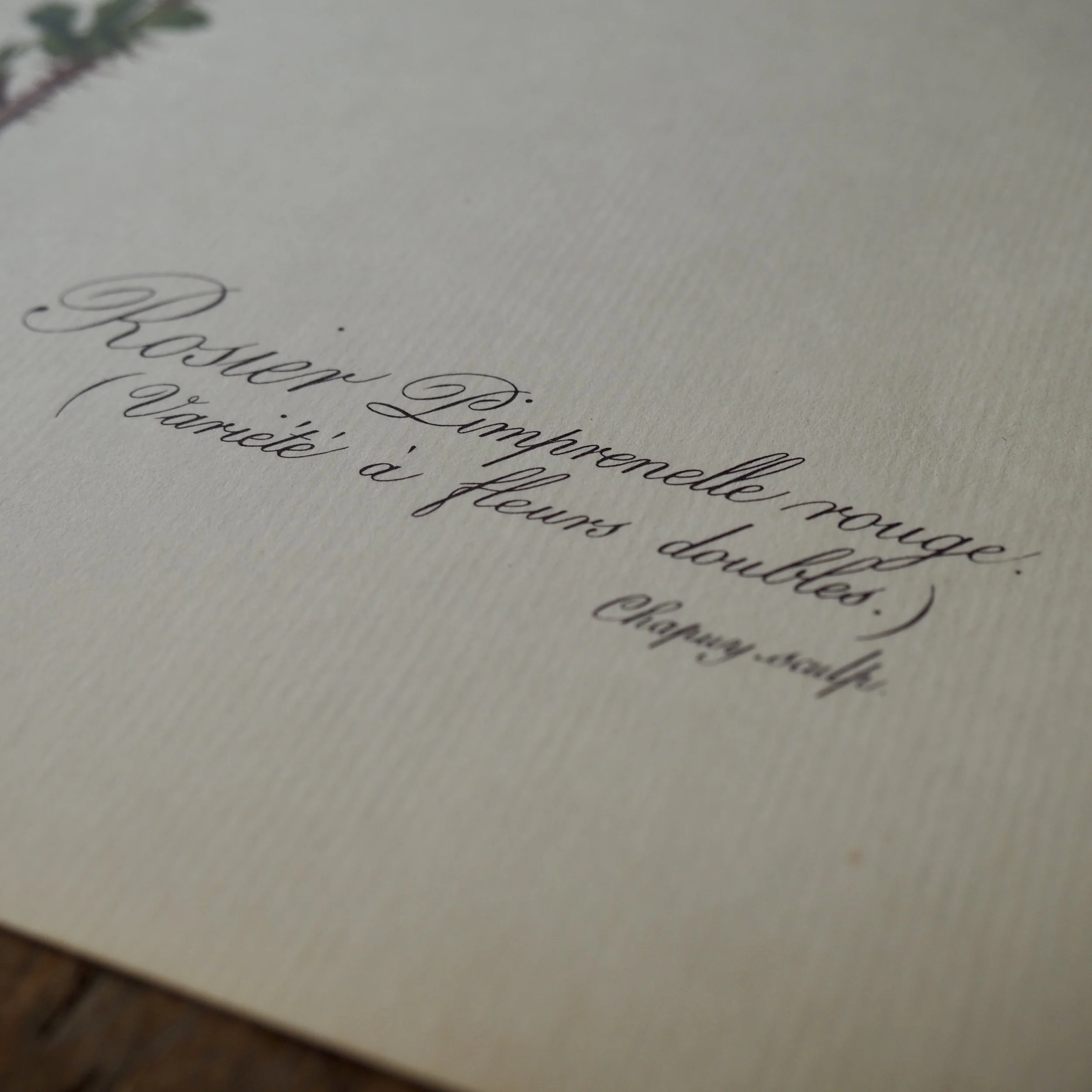 vintage french writing