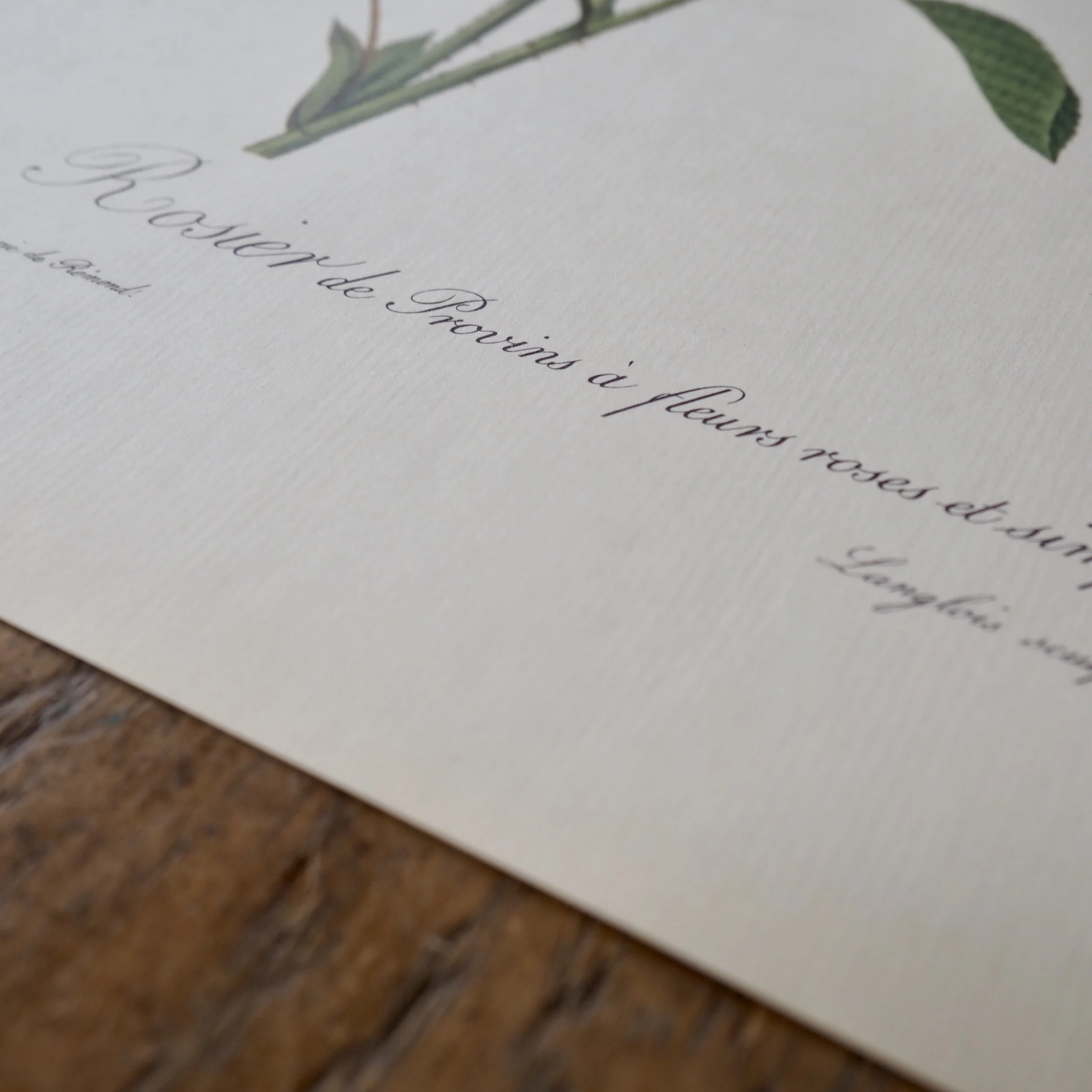 vintage french writing