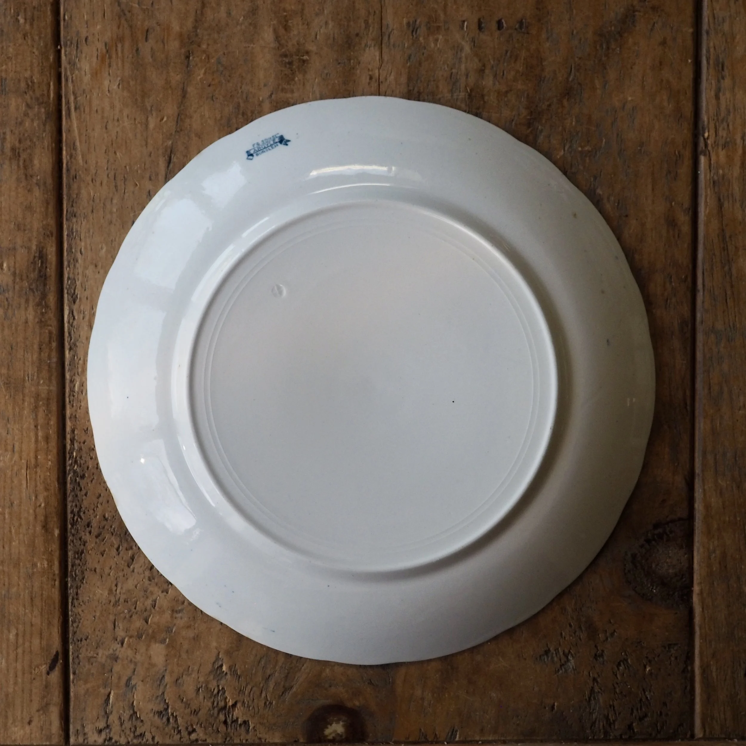 Argyle pattern dinner plate by F & sons Burslem reverse side