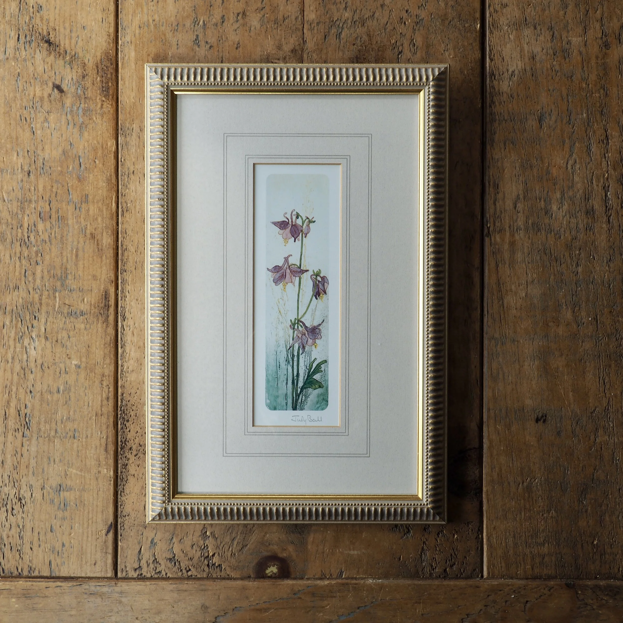 Framed flower print by Judy bell