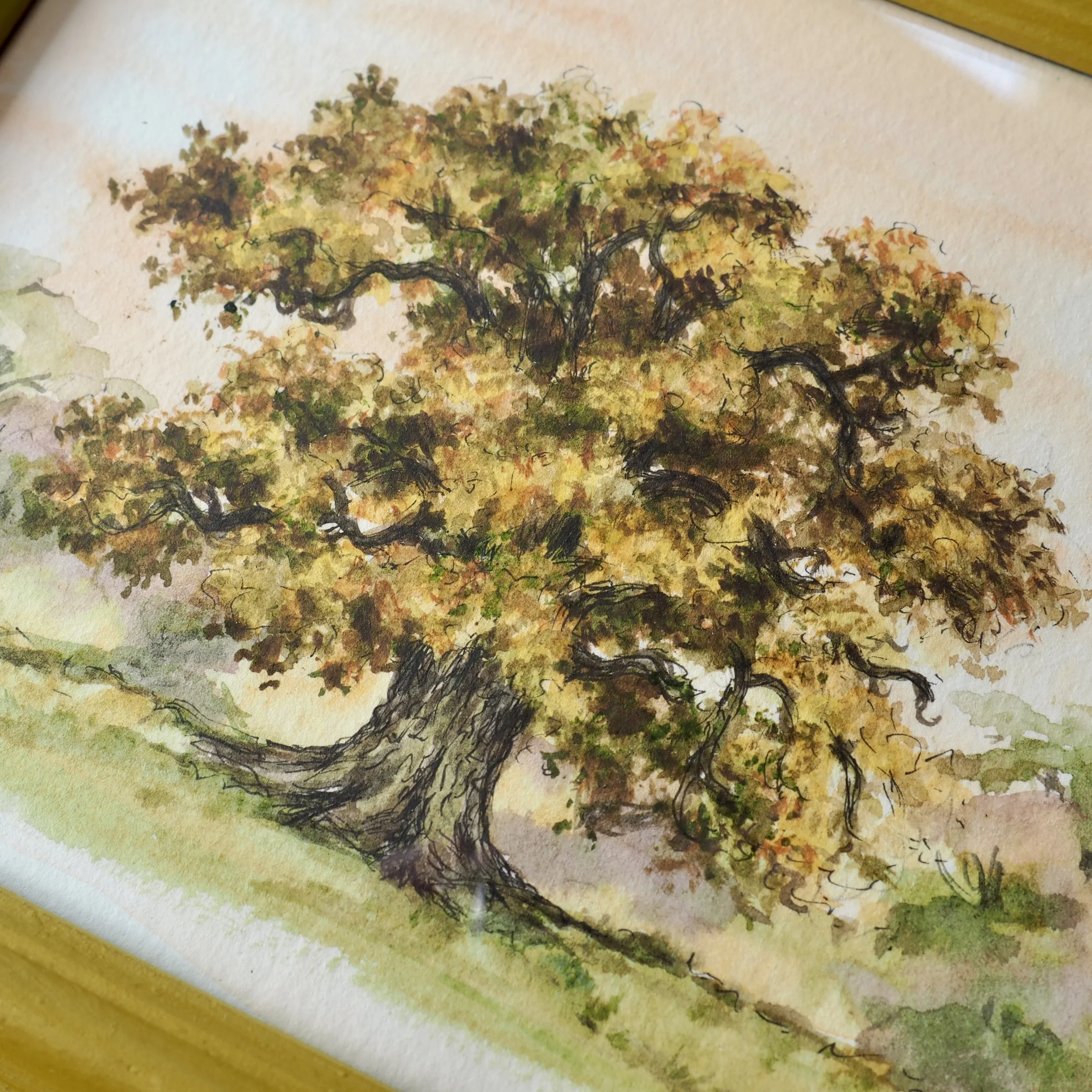 Watercolour of an oak tree in autumn