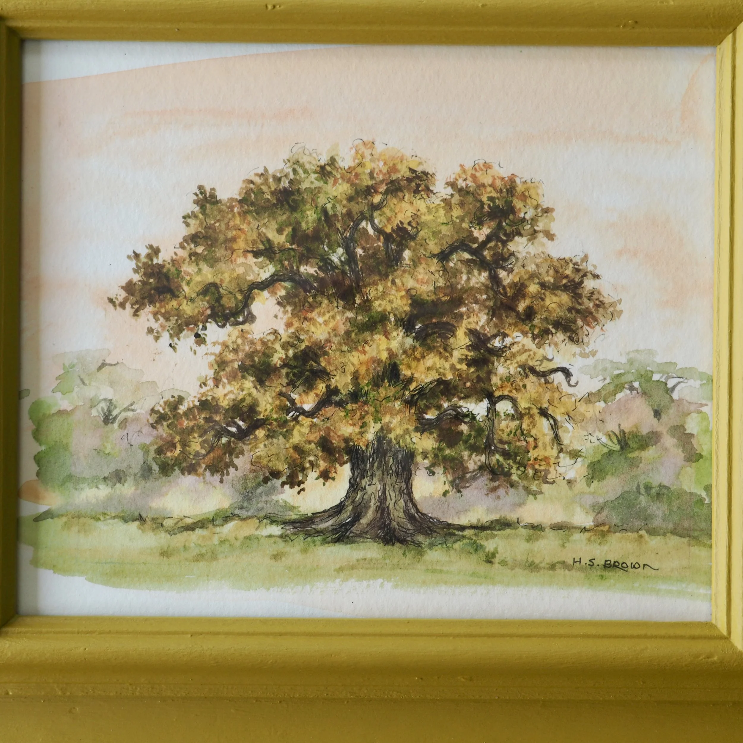 Watercolour of an oak tree in autumn