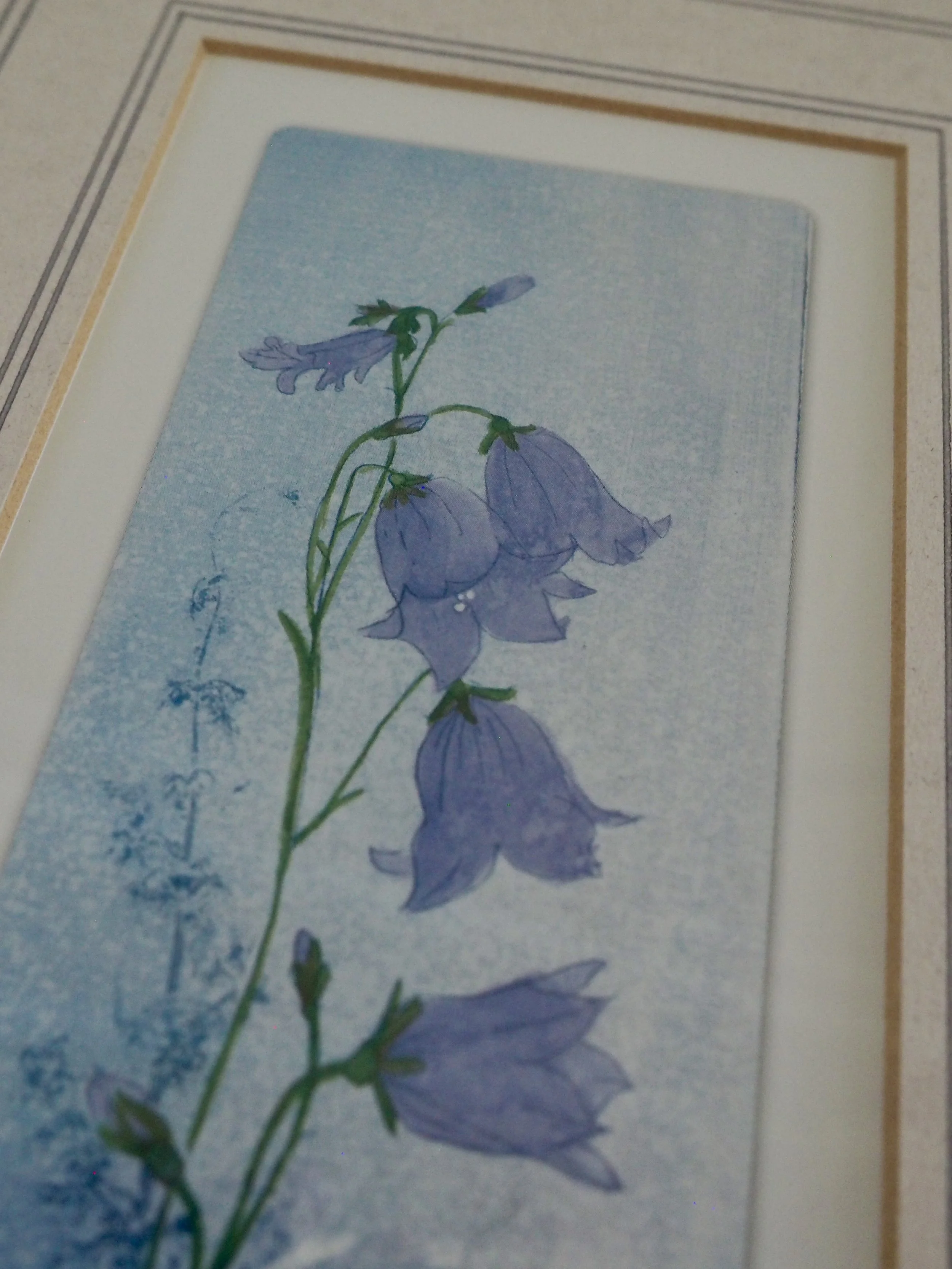 framed watercolour print by Judy Ball