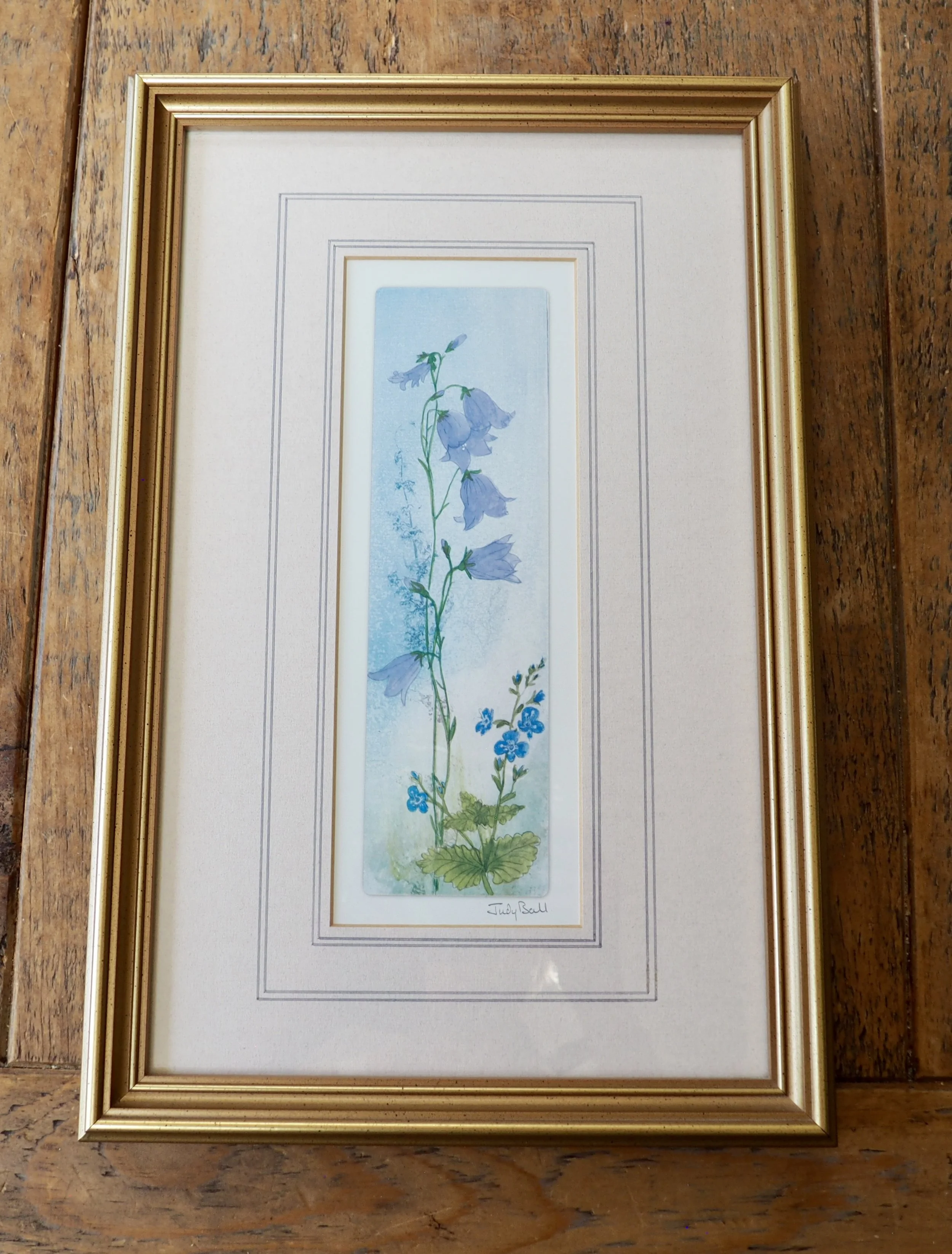 framed watercolour print by Judy Ball