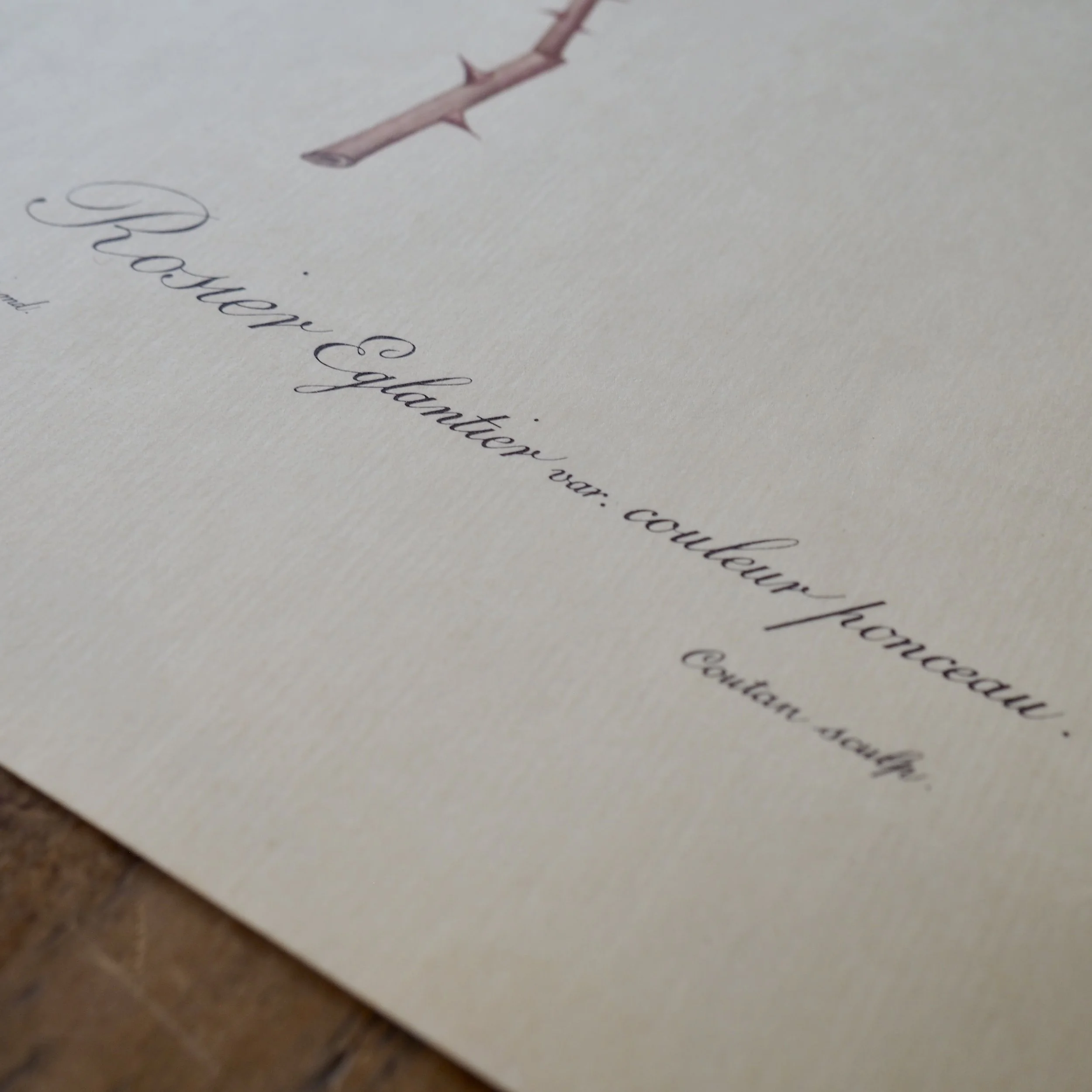 vintage french writing