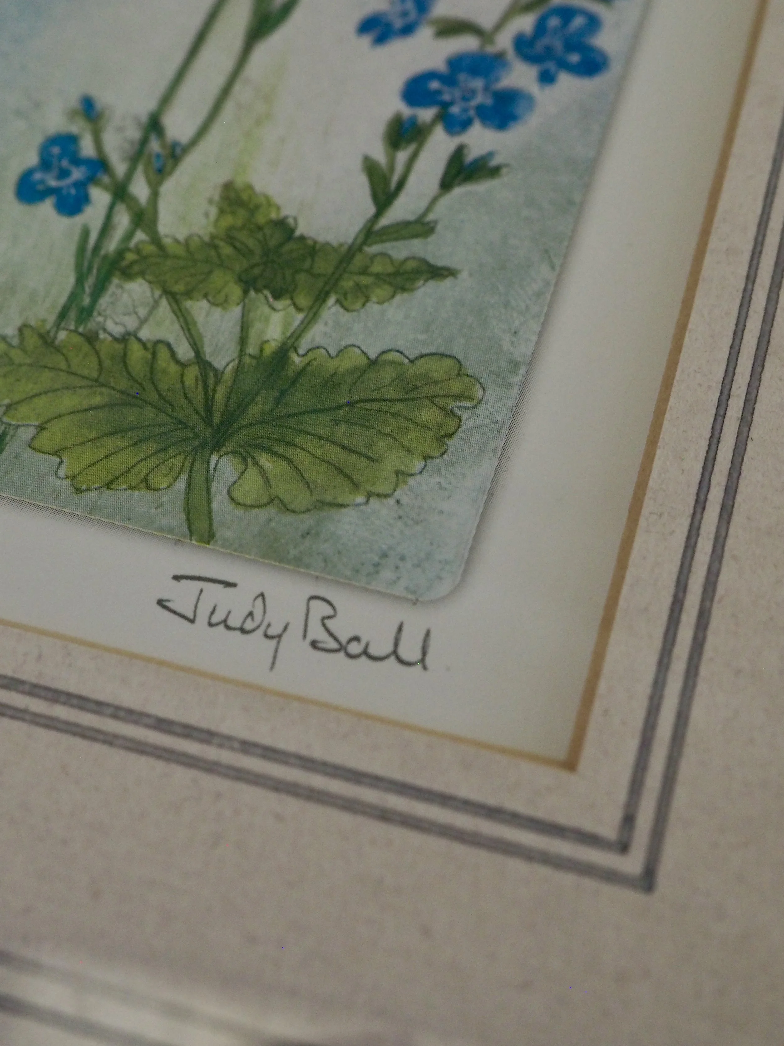 framed watercolour print by Judy Ball