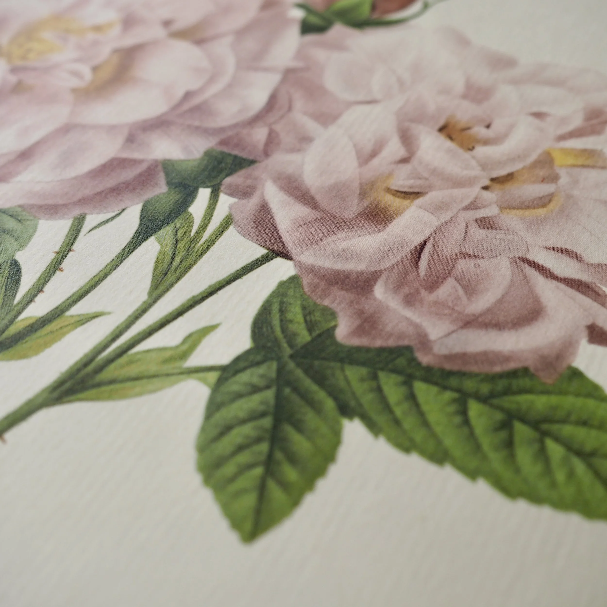 close up of vintage roses bookplate