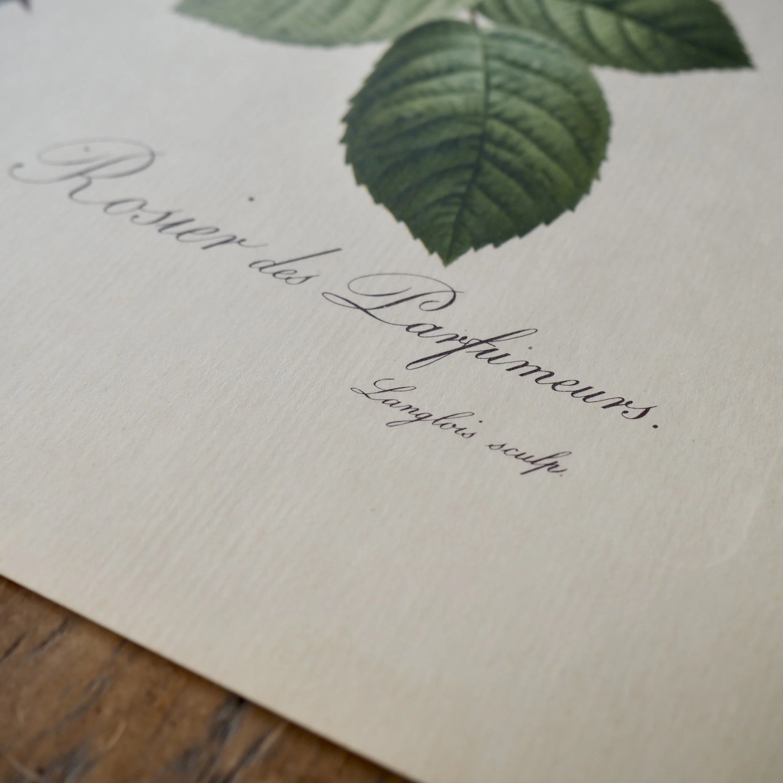 vintage french writing