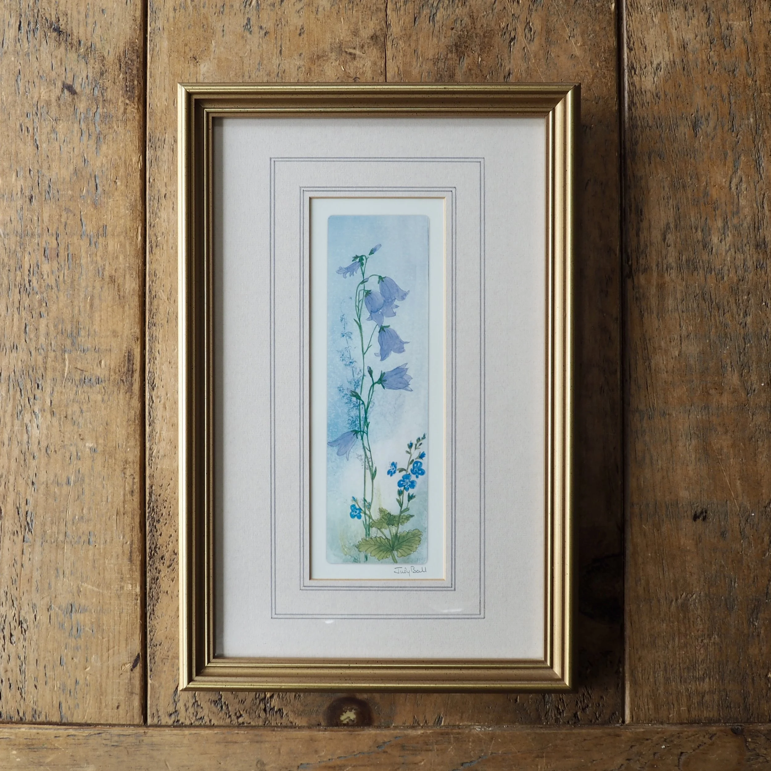 Watercolour of Bluebells by Judy Bell