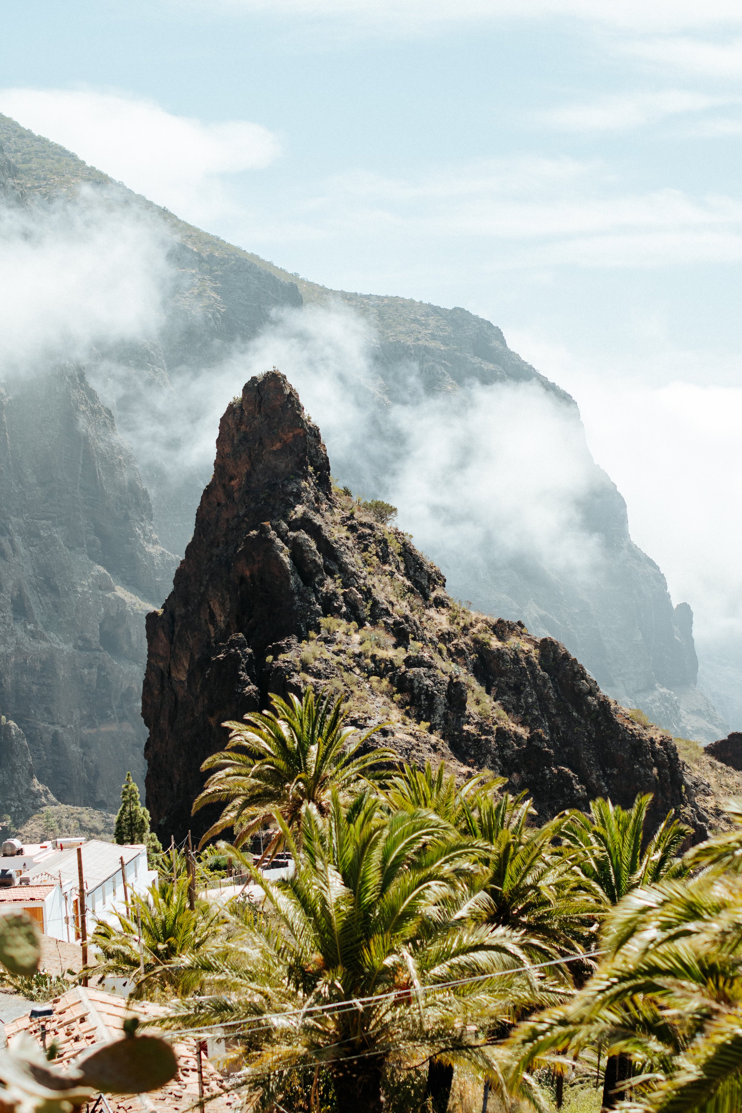 Mountain landscape with a prominent rock formation, surrounded by lush palm trees and misty clouds.