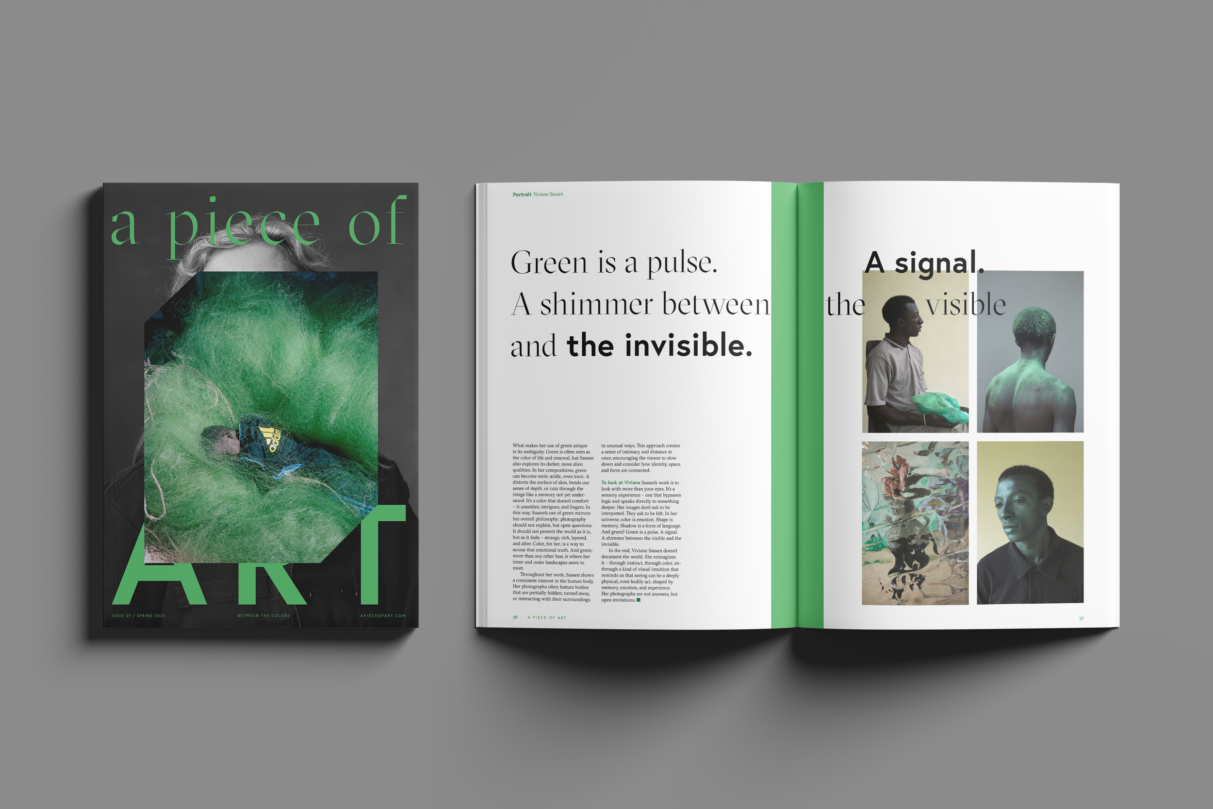 09 Free A4 A5 Magazine Mockup.png