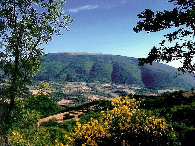 ESCURSIONE AL SUBASIO