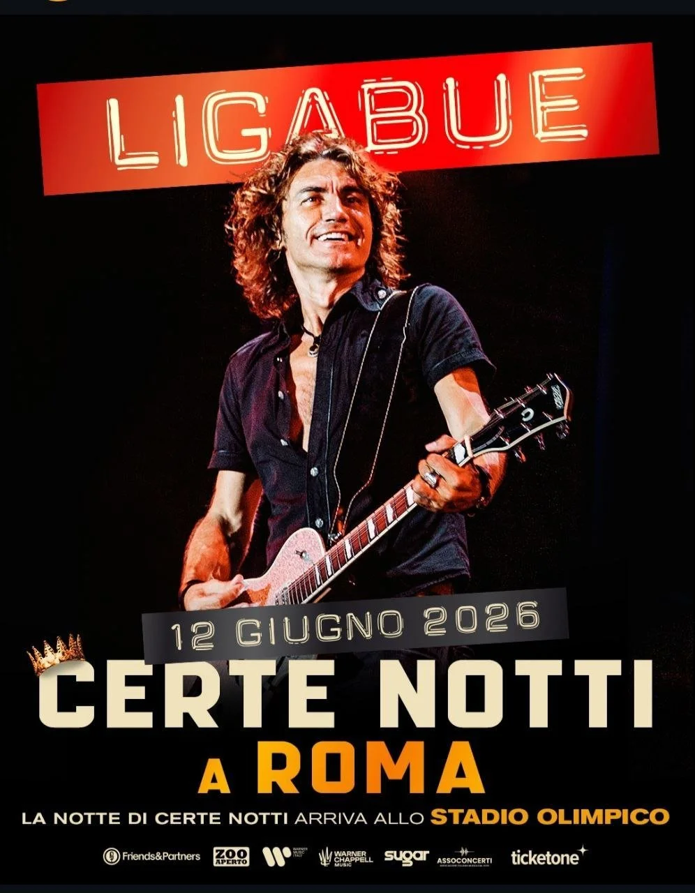 Ligabue concerto.jpg