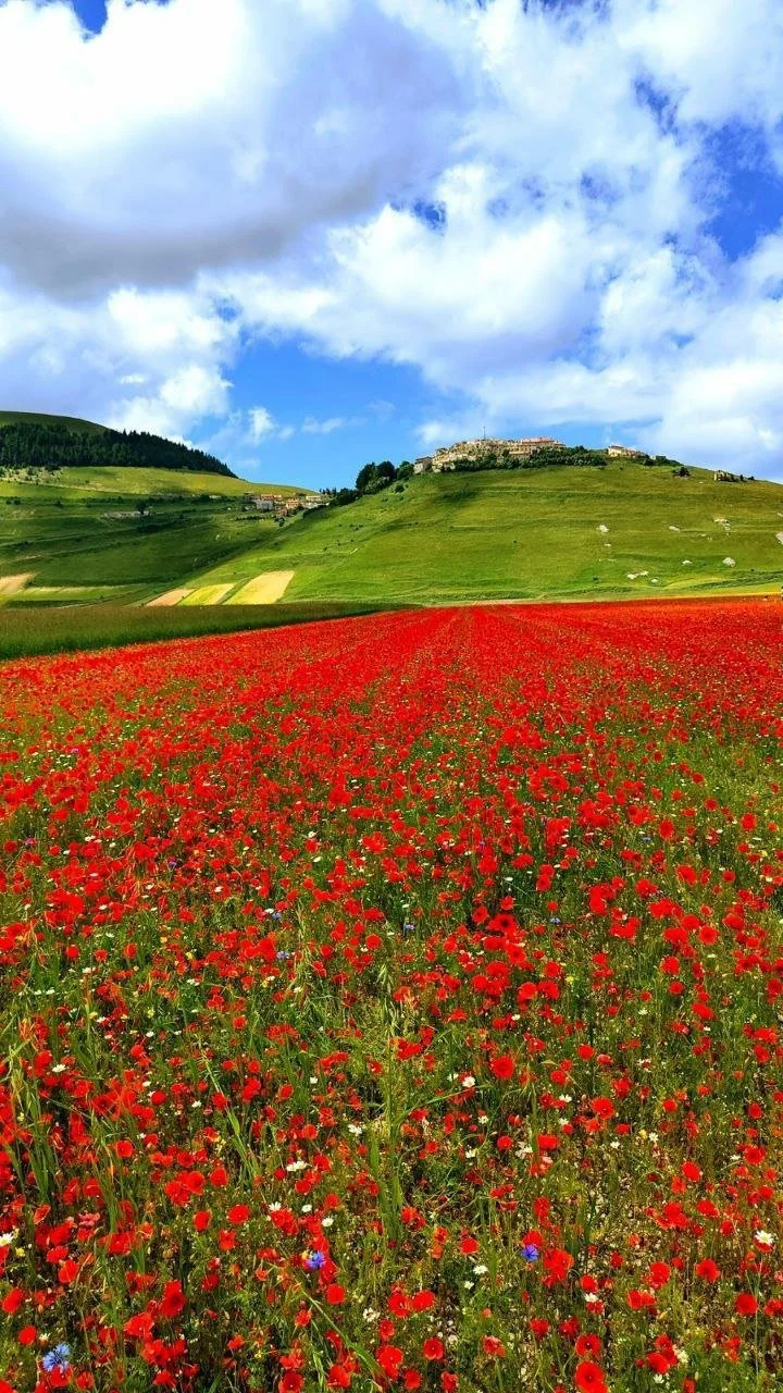 Castelluccio.jpg