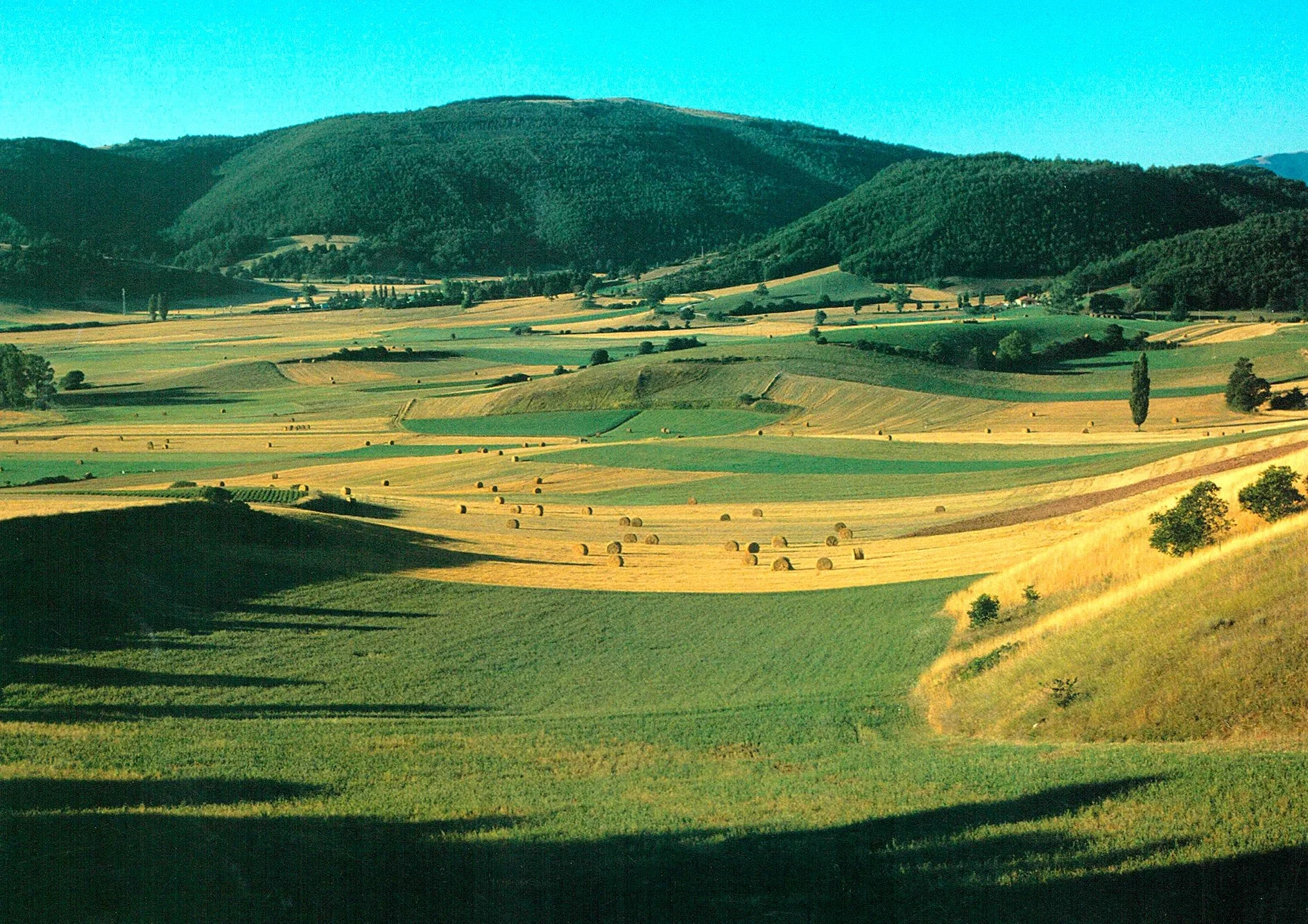 COLFIORITO