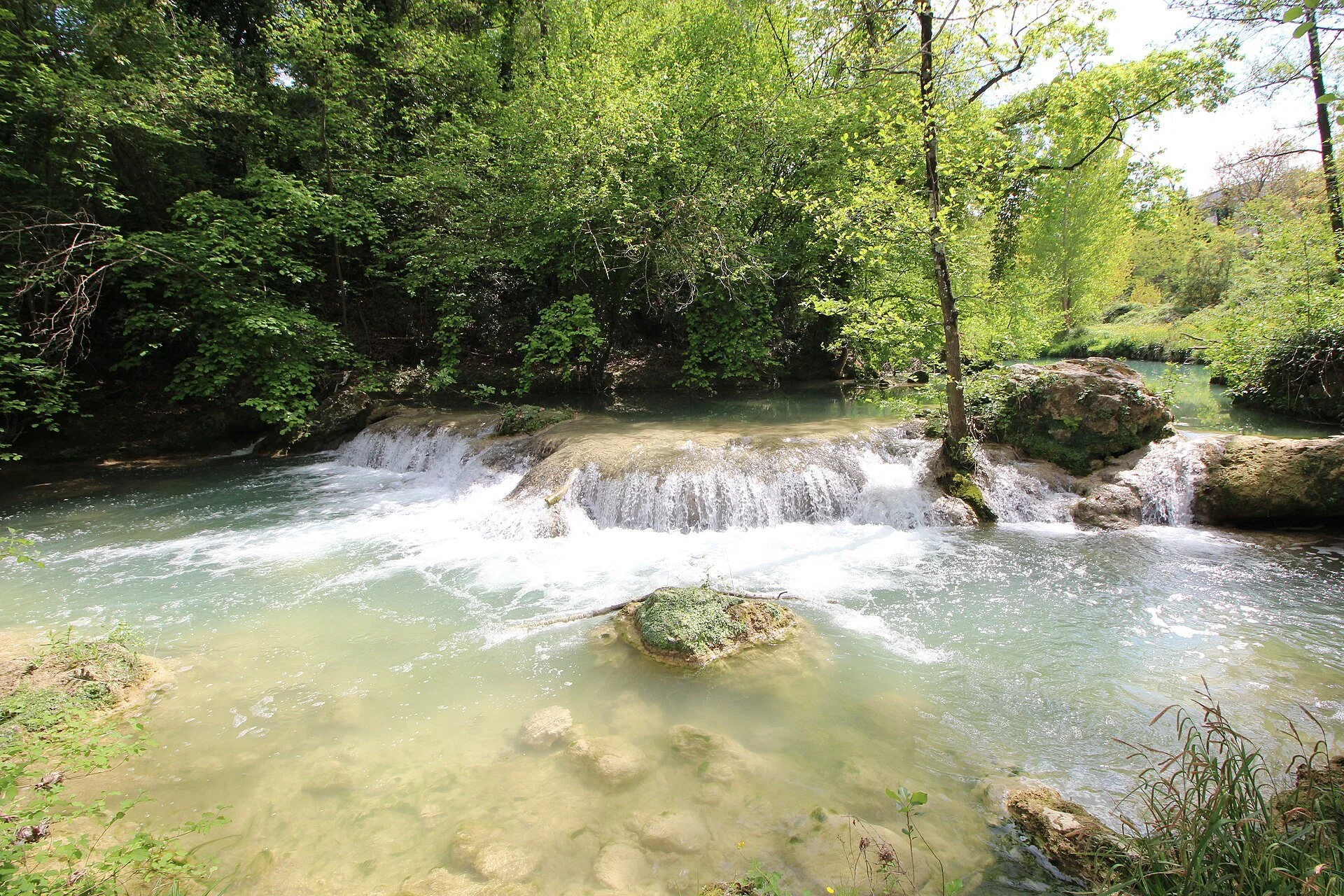 A_clear_shallow_river_cascades_over_a_small_rock_NbxZgMc8.jpg